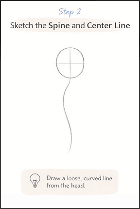 Sketch the spine and center line