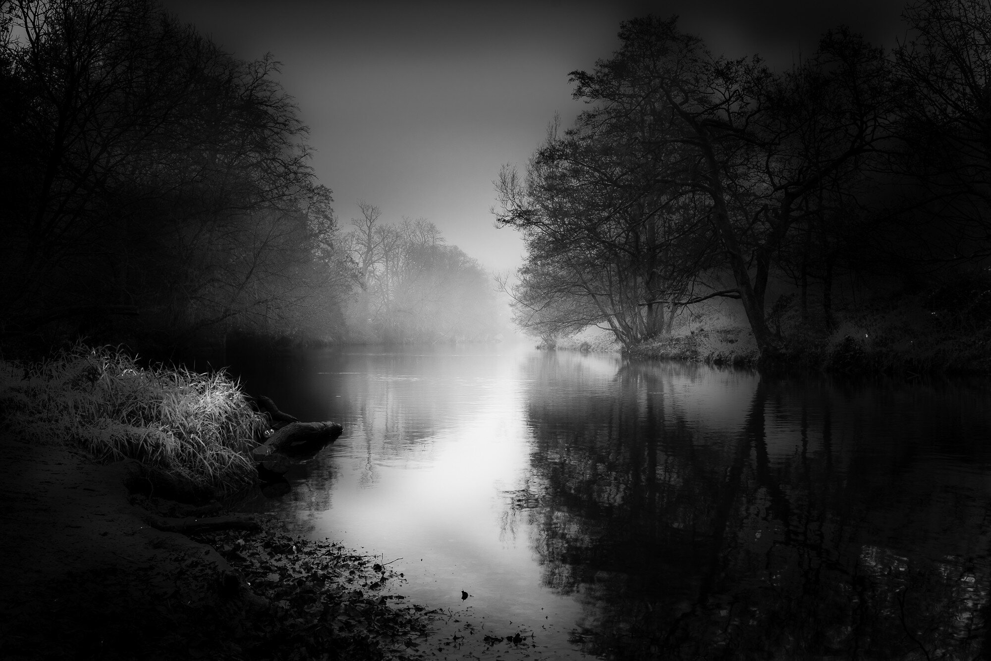 River Nidd in the morning mist B&W-6178