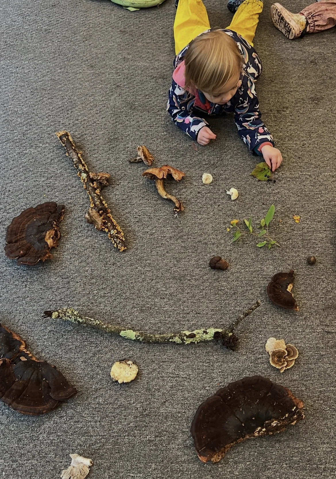 Kin in the Forest: November