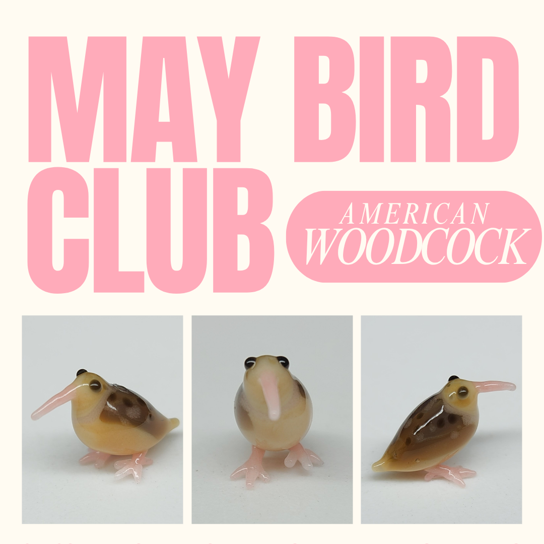 MAY+BIRD+CLUB.png
