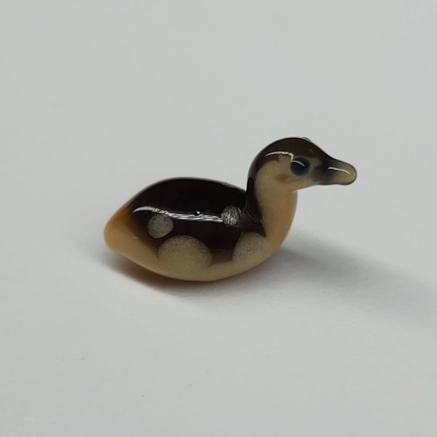 New babies just hatched!!!!