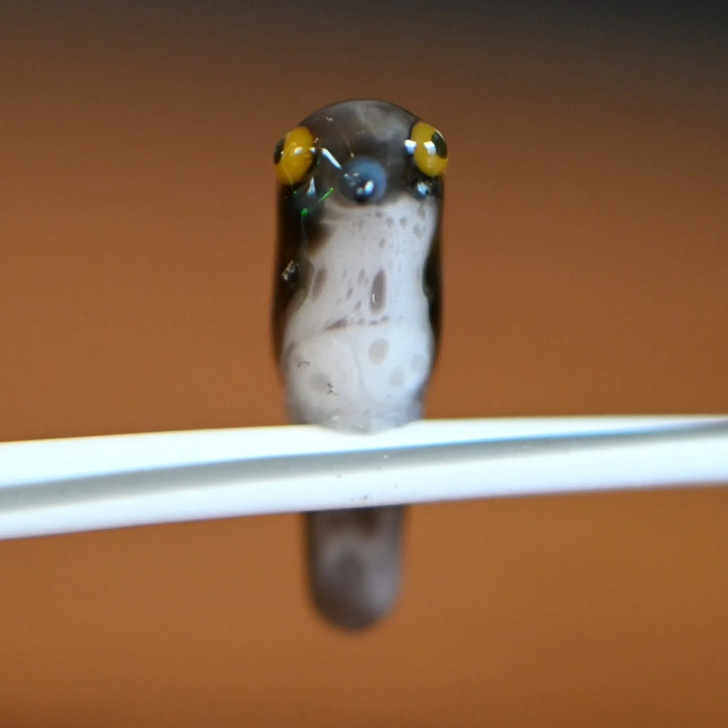 March Bird of the Month! Common Potoo