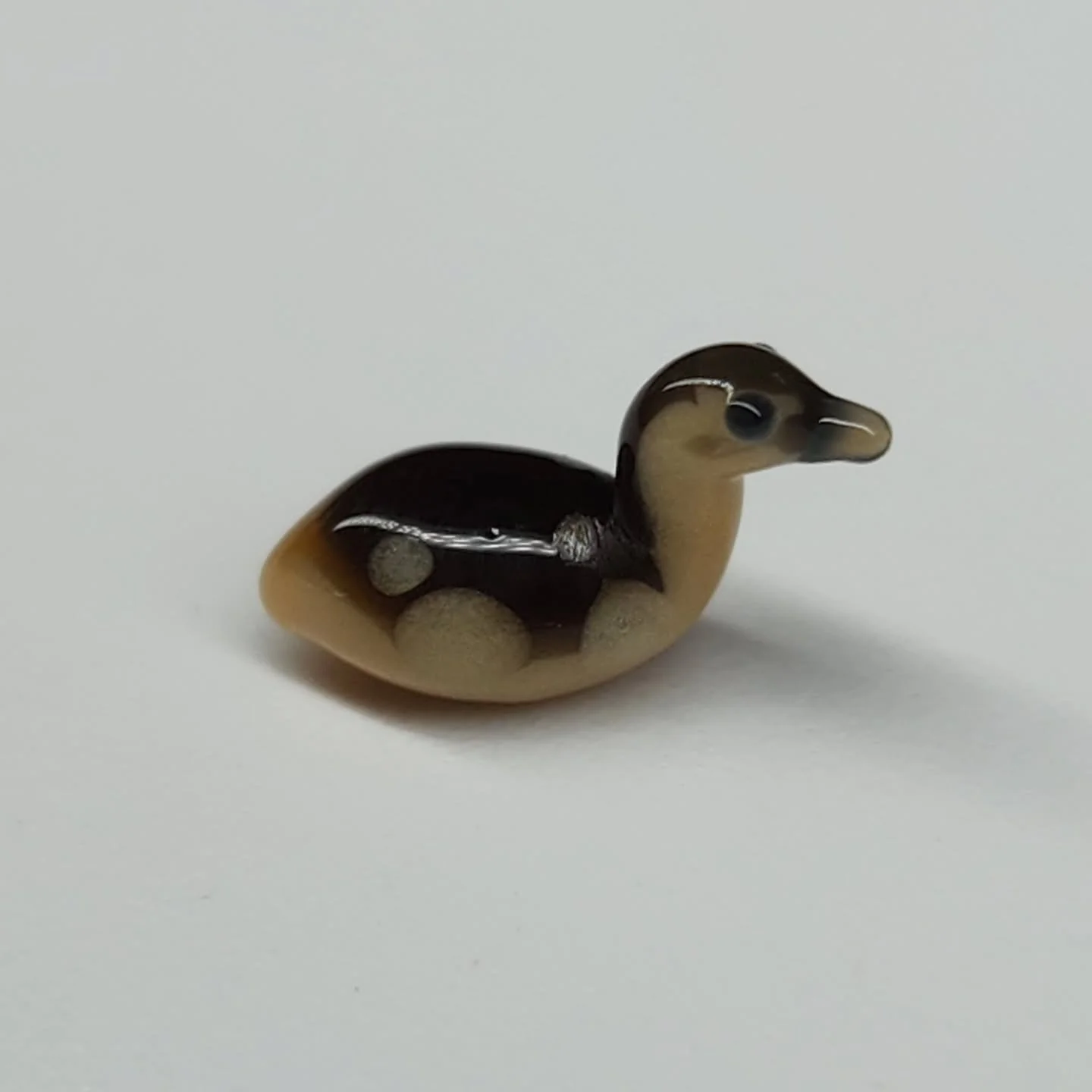 New babies just hatched!!!!