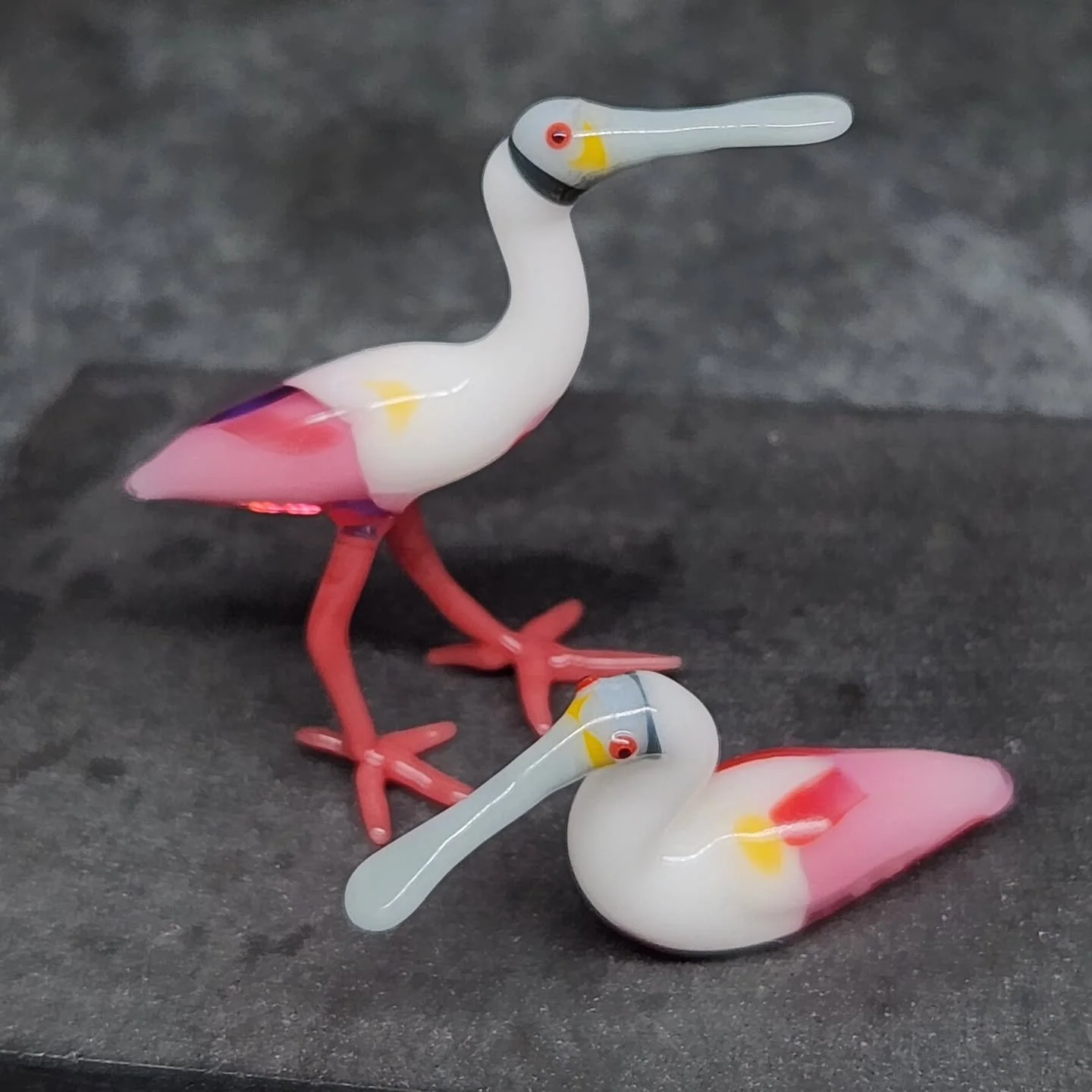 Spoonbills are live!