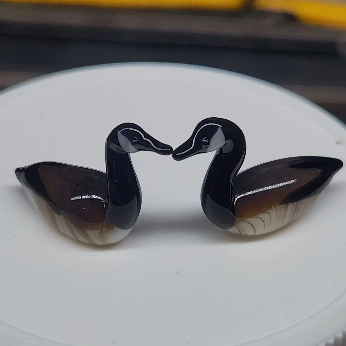 Goose love 💗💗💗