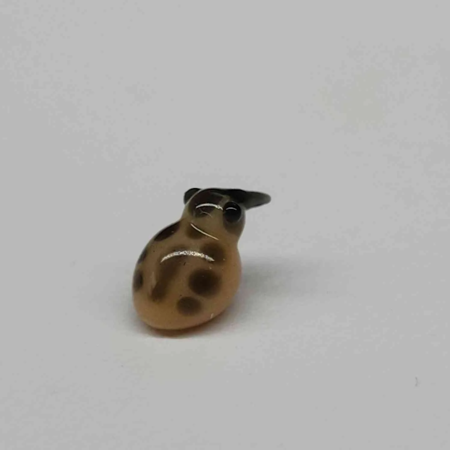 20250920_114829.jpg