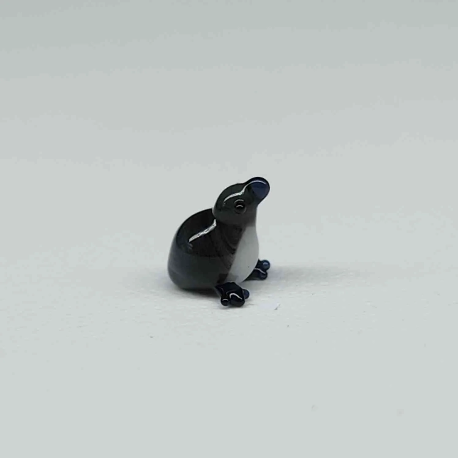 20250920_114851.jpg