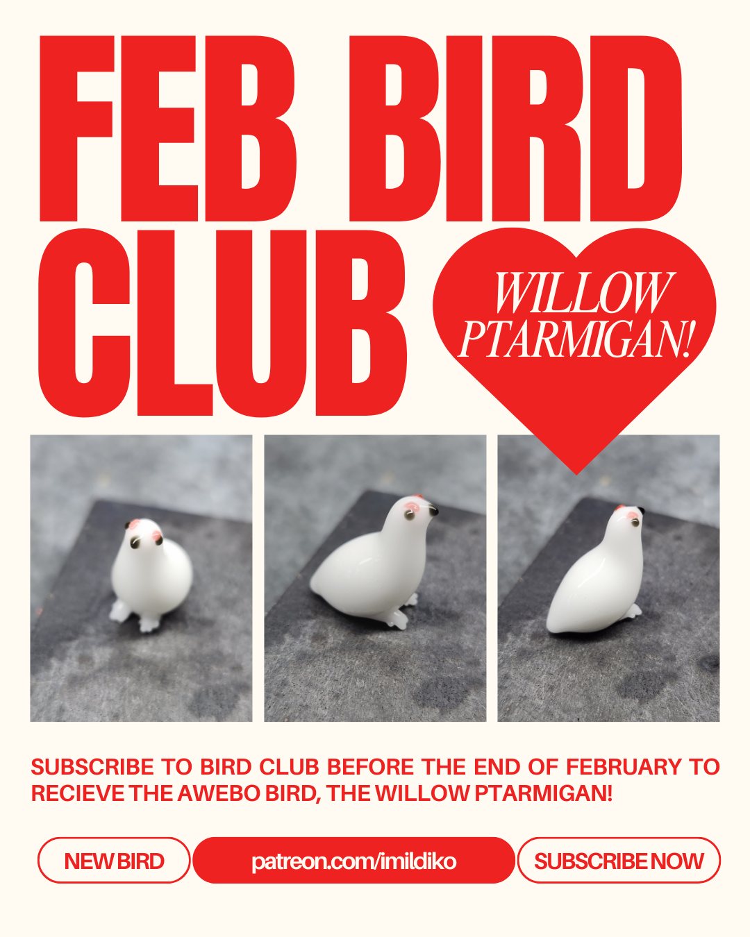 2 FEB bird club.png