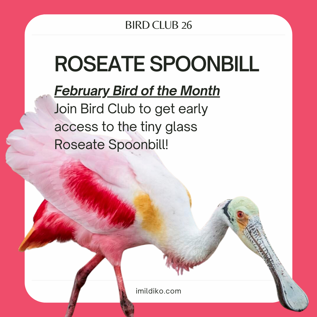 2 Feb Roseate Spoonbill.png