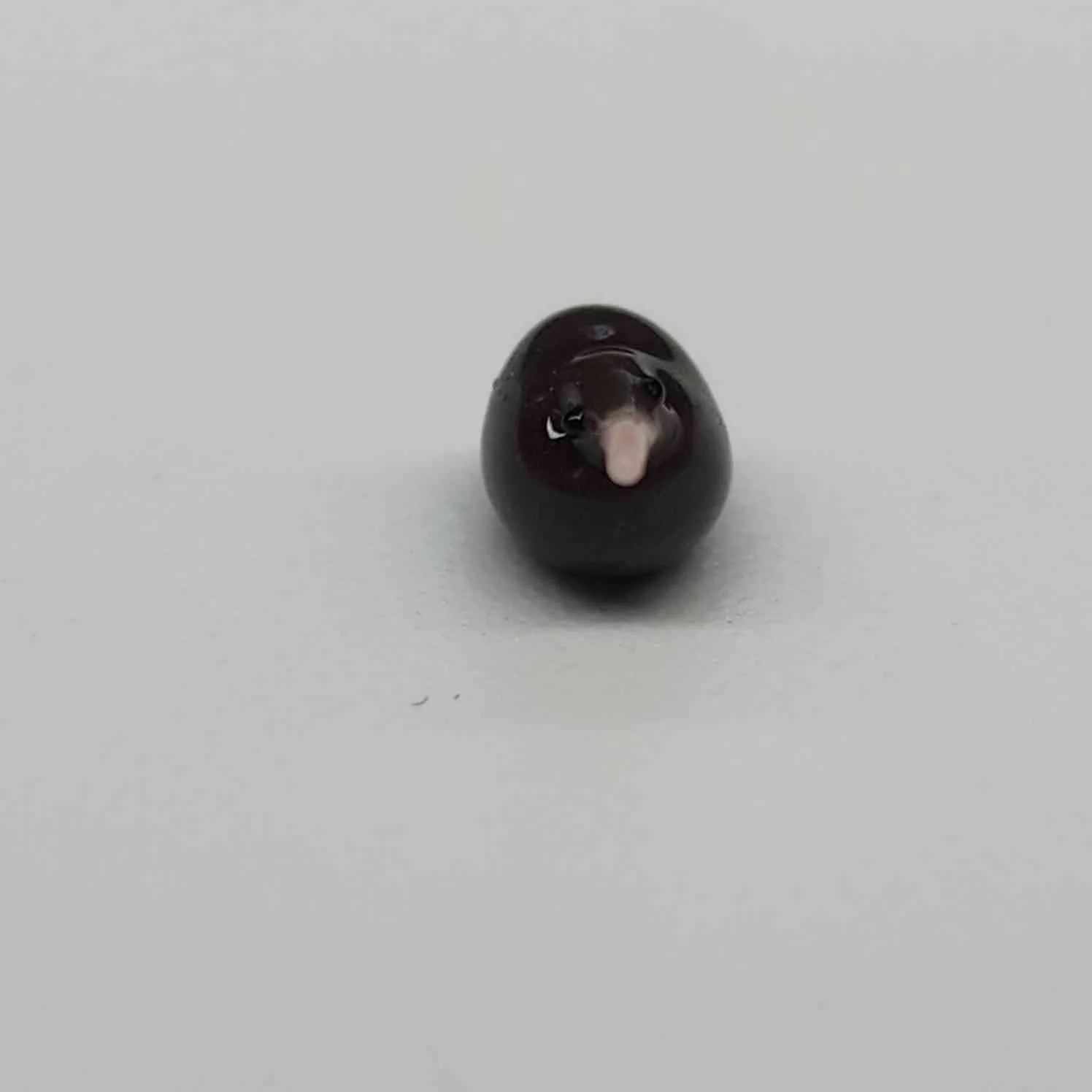 20250920_114947.jpg