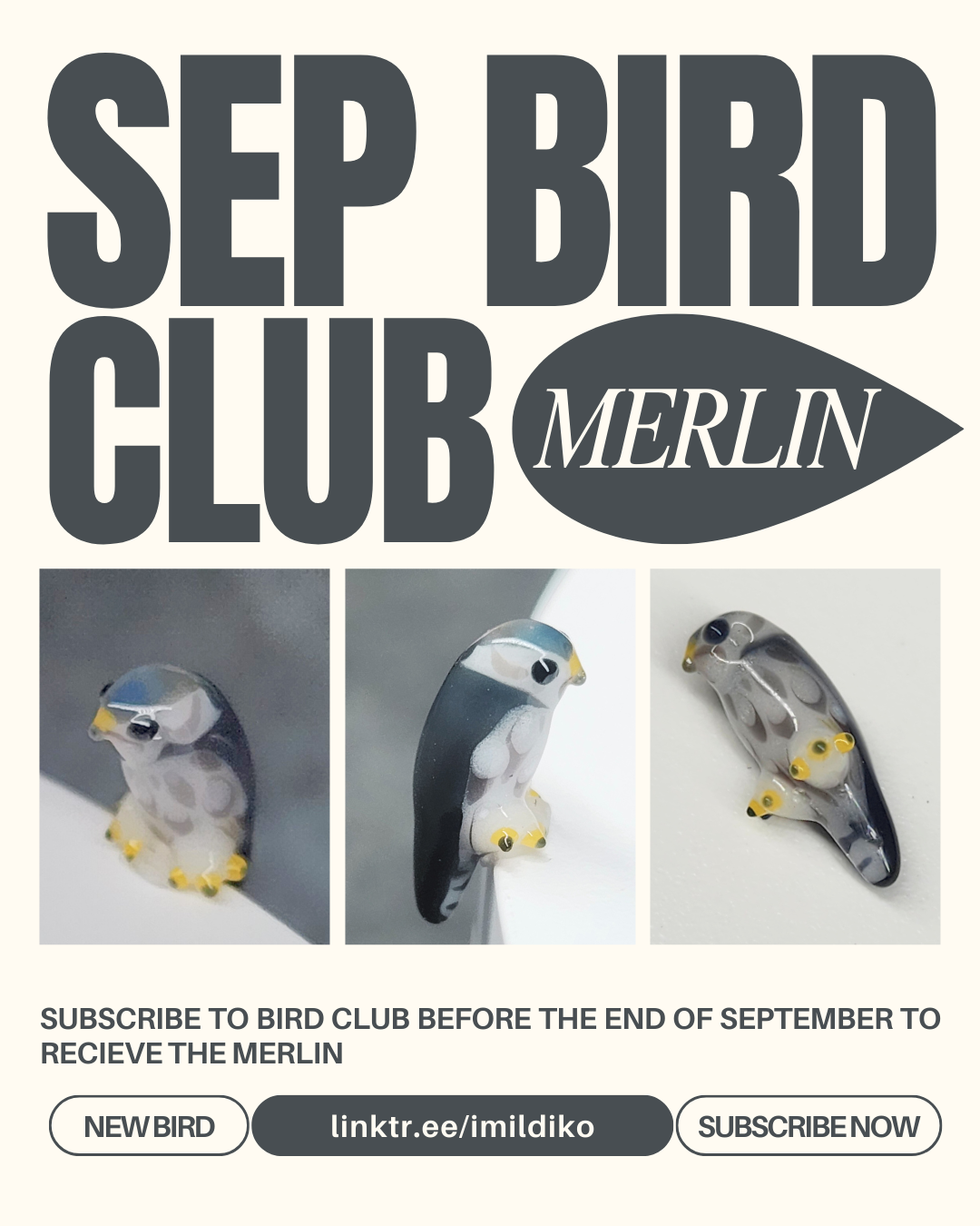 9 SEP BIRD CLUB.png
