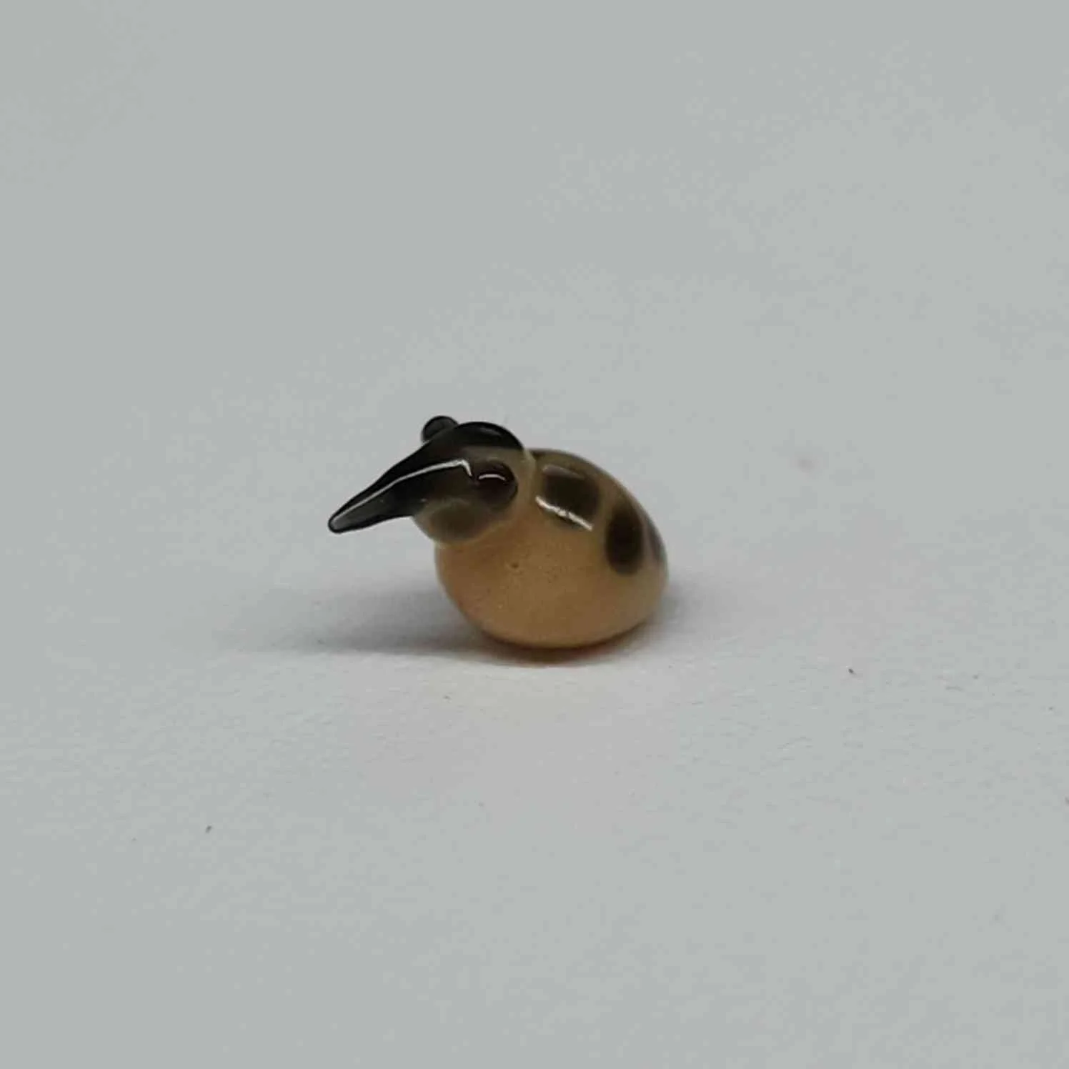 20250920_114822.jpg