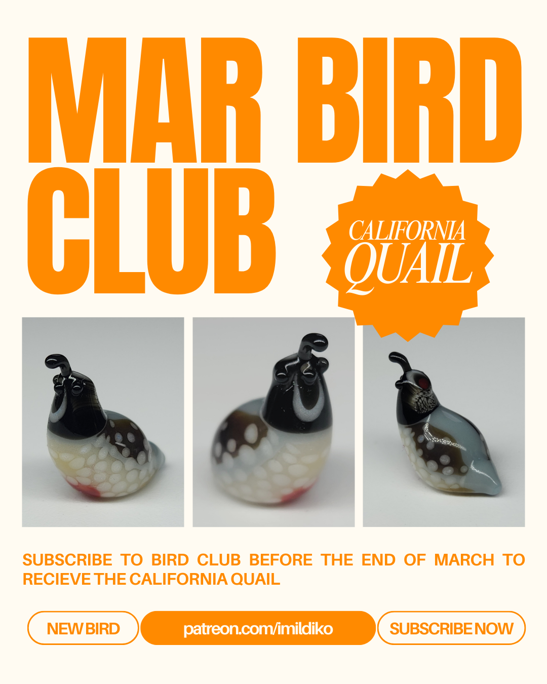 3 MAR BIRD CLUB.png