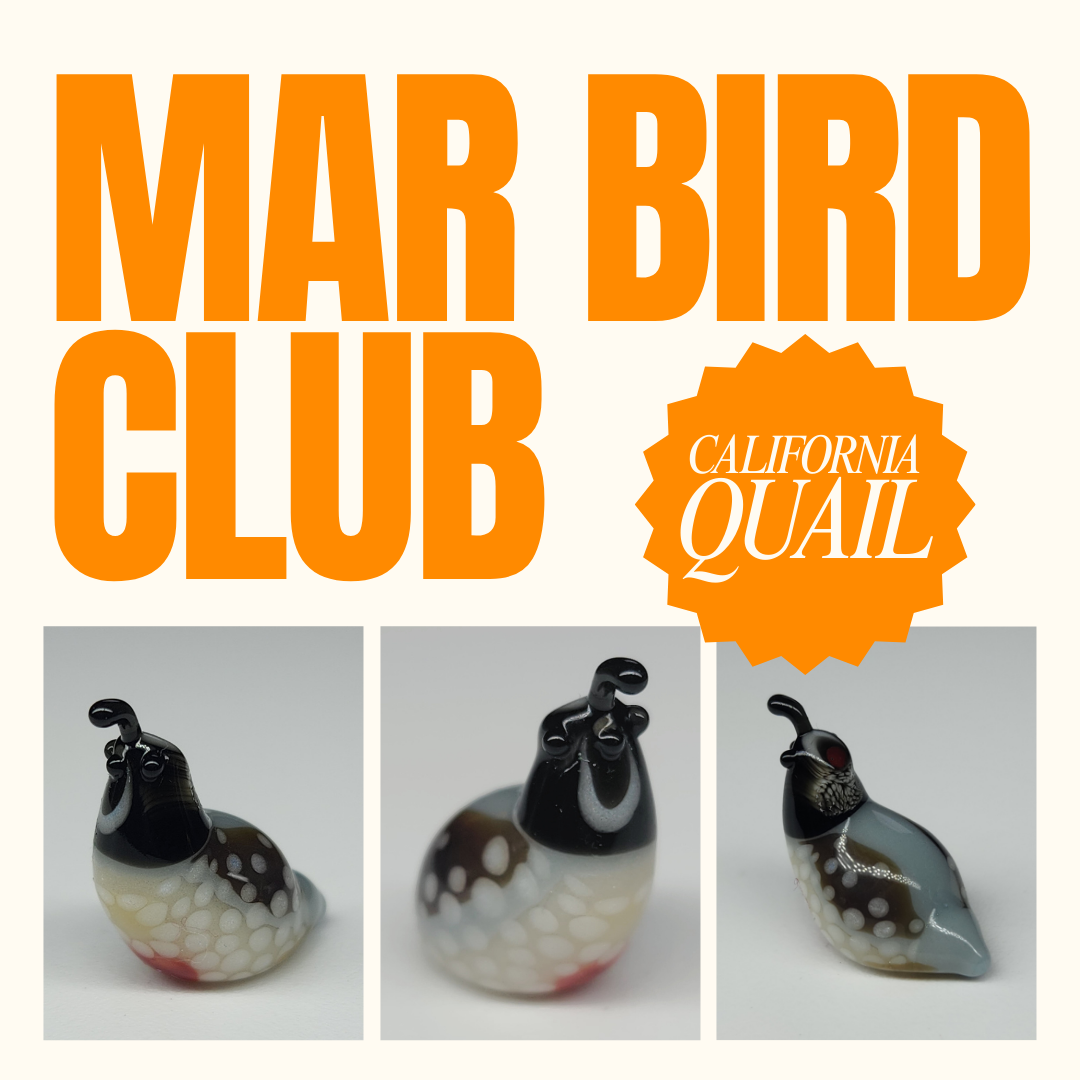 MAR+BIRD+CLUB.png