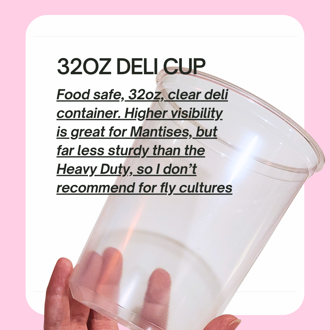 Copy of 12 Dec (3).png