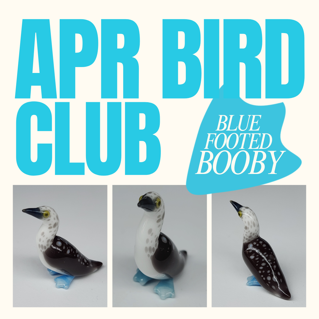 Copy+of+MAR+BIRD+CLUB+%2817%29.png