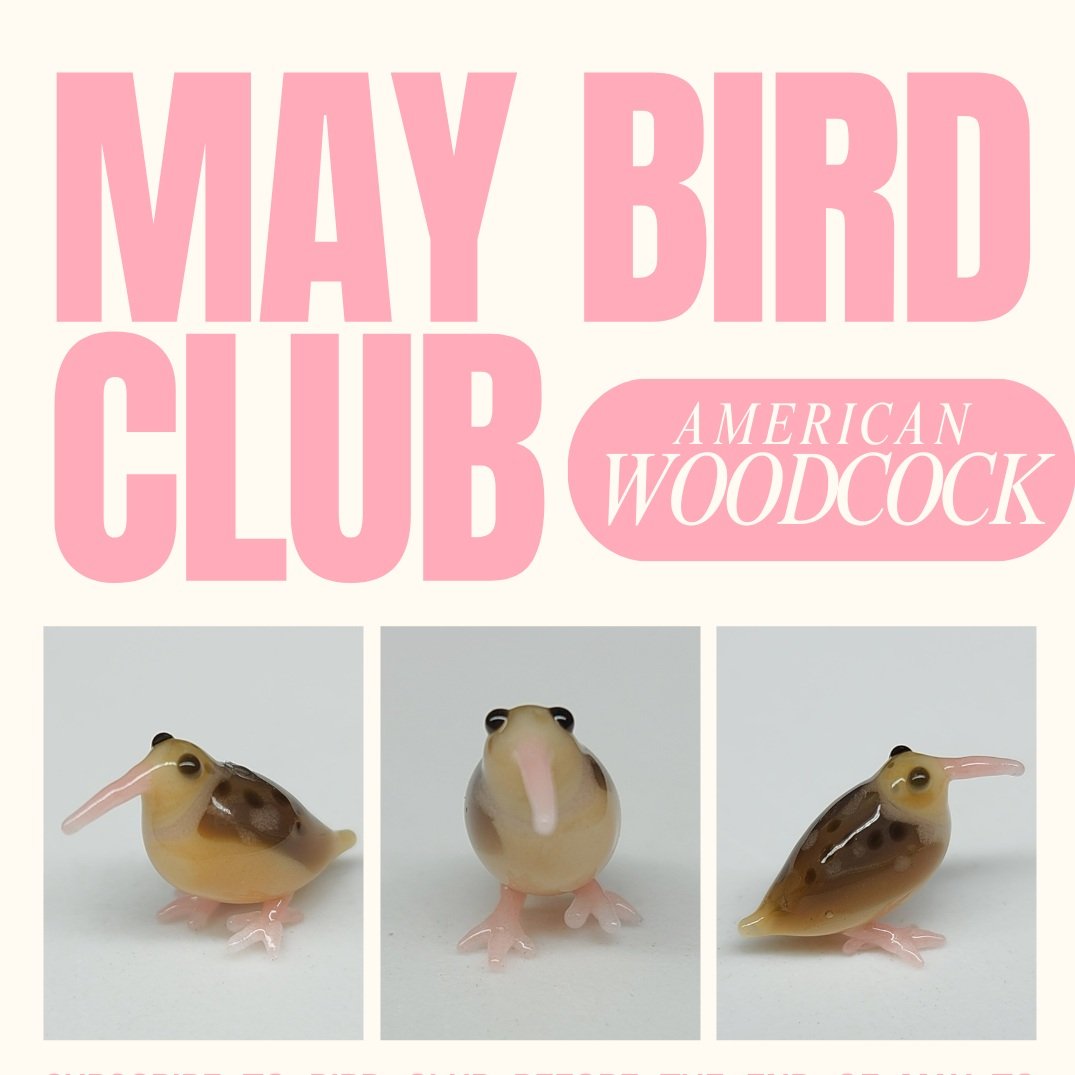 Copy+of+Copy+of+MAR+BIRD+CLUB.jpg