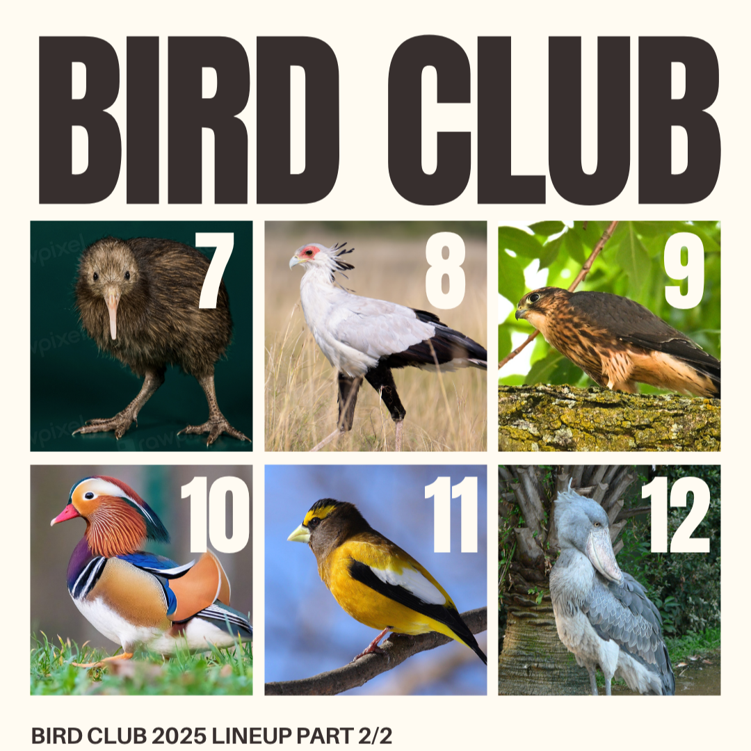 Copy+of+FEB+bird+club+%281%29.png
