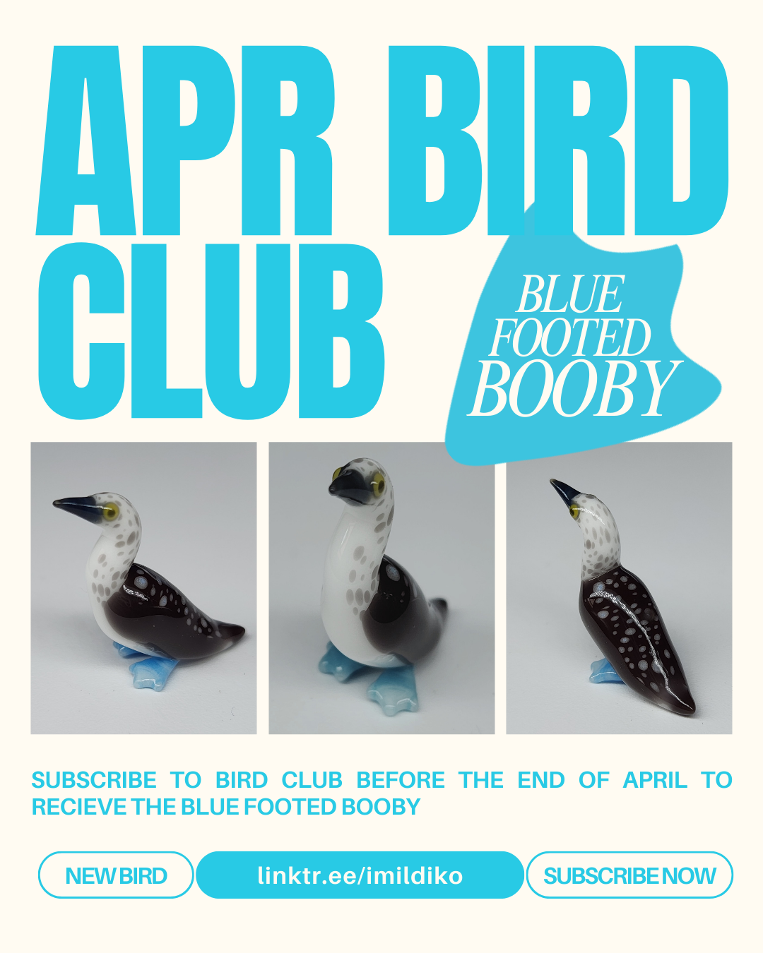 4 APRIL BIRD CLUB.png