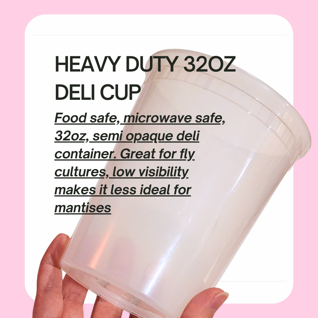 Copy of 12 Dec (2).png