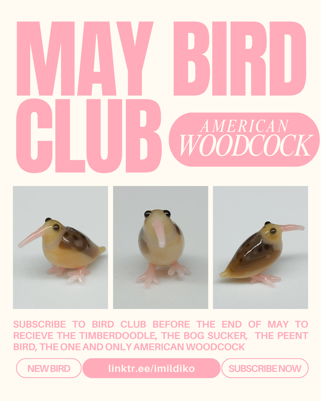 5 MAY BIRD CLUB.png