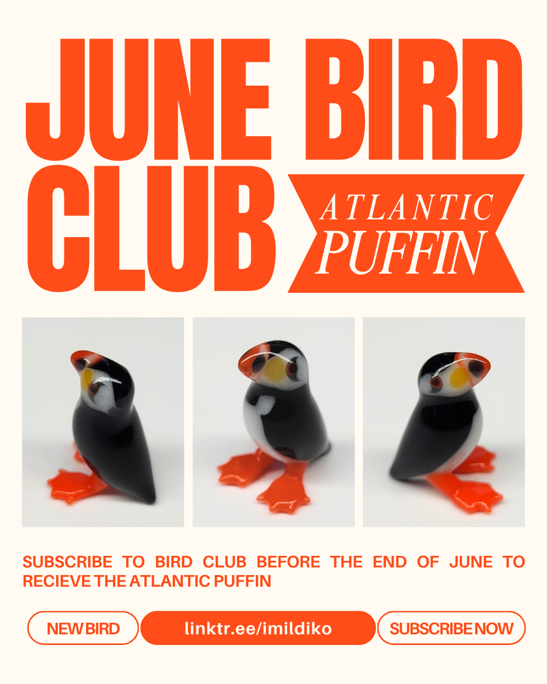6 JUNE BIRD CLUB.png