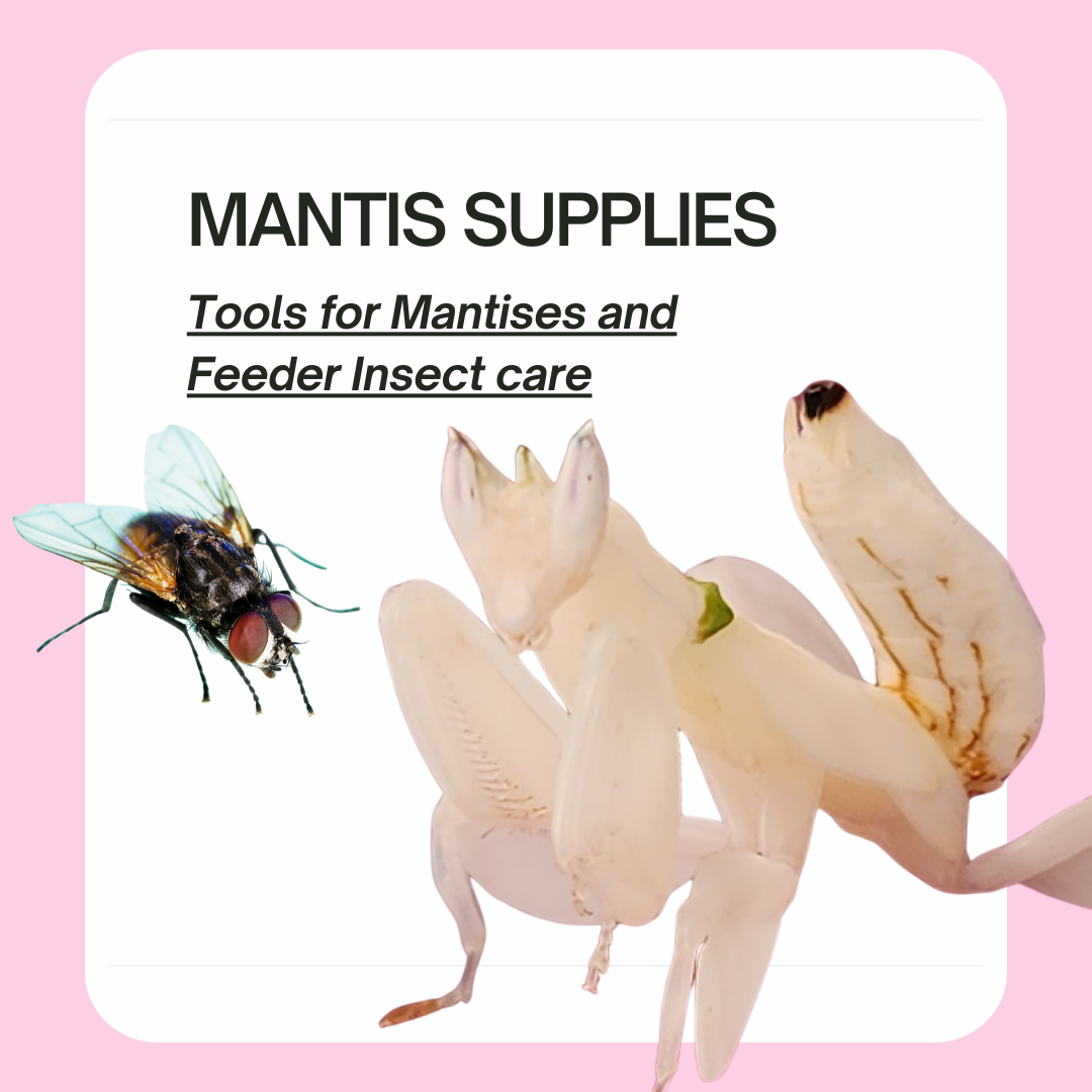 Mantis Care Supplies