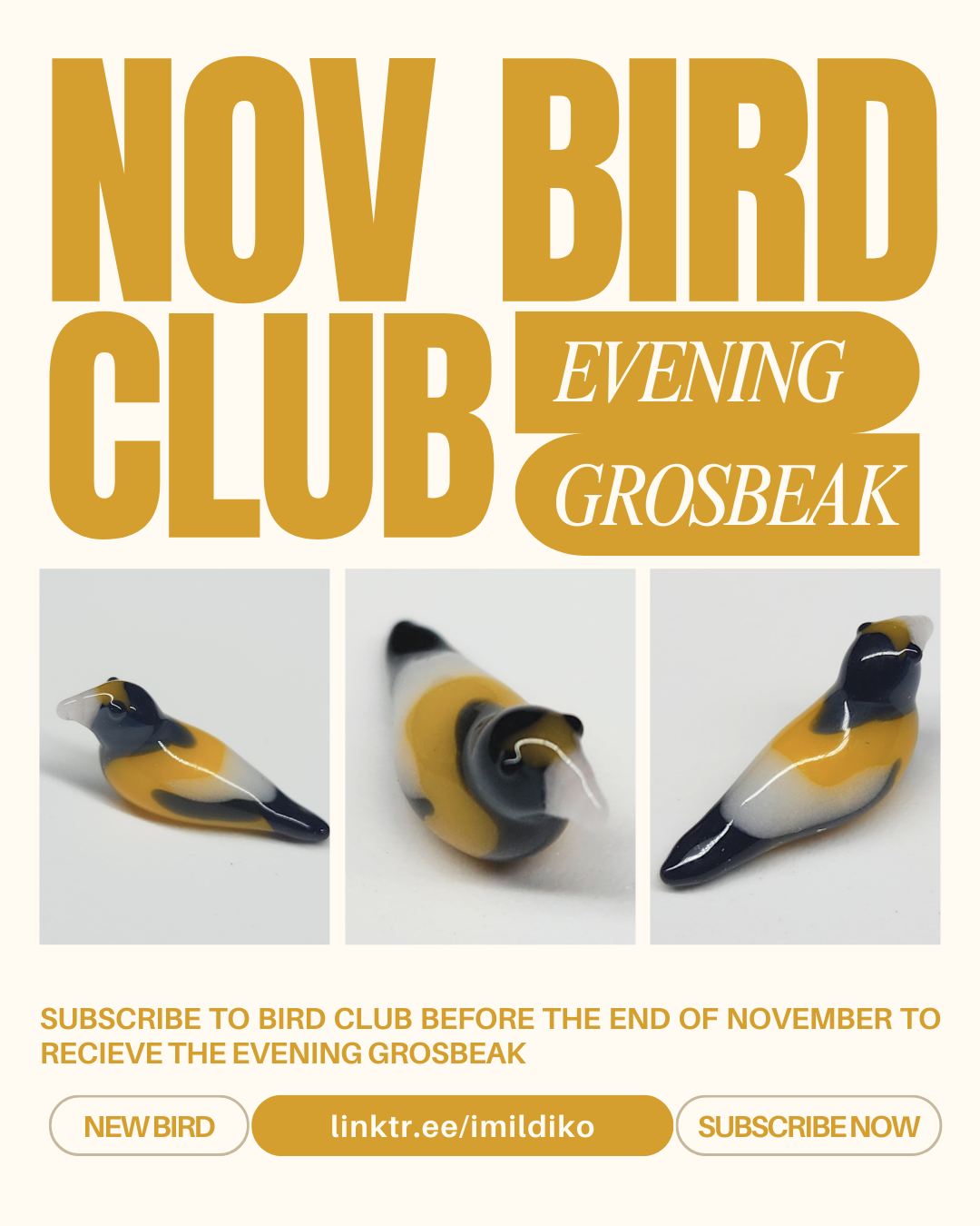 11 NOV BIRD CLUB.png