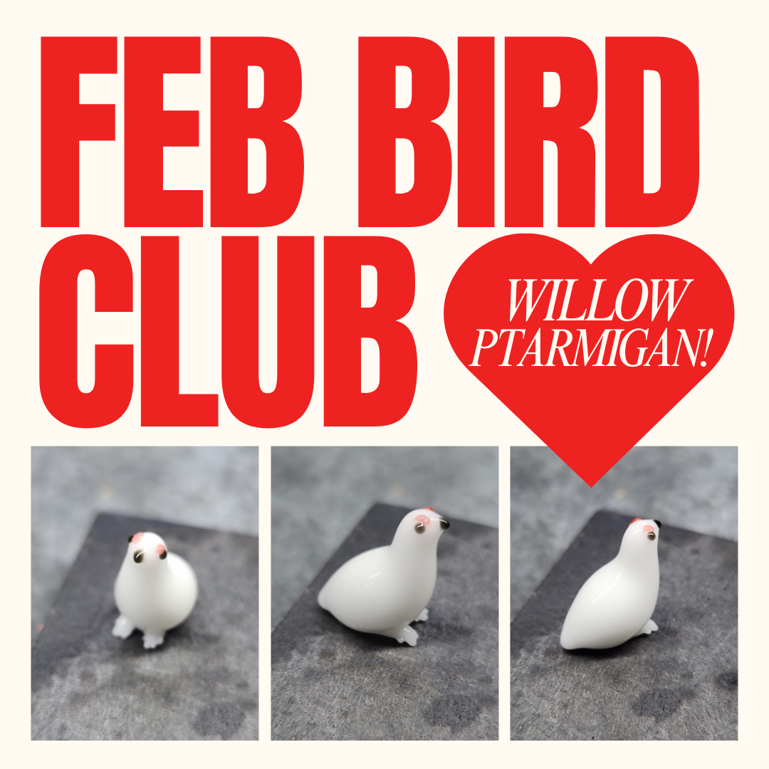 FEB+bird+club.png