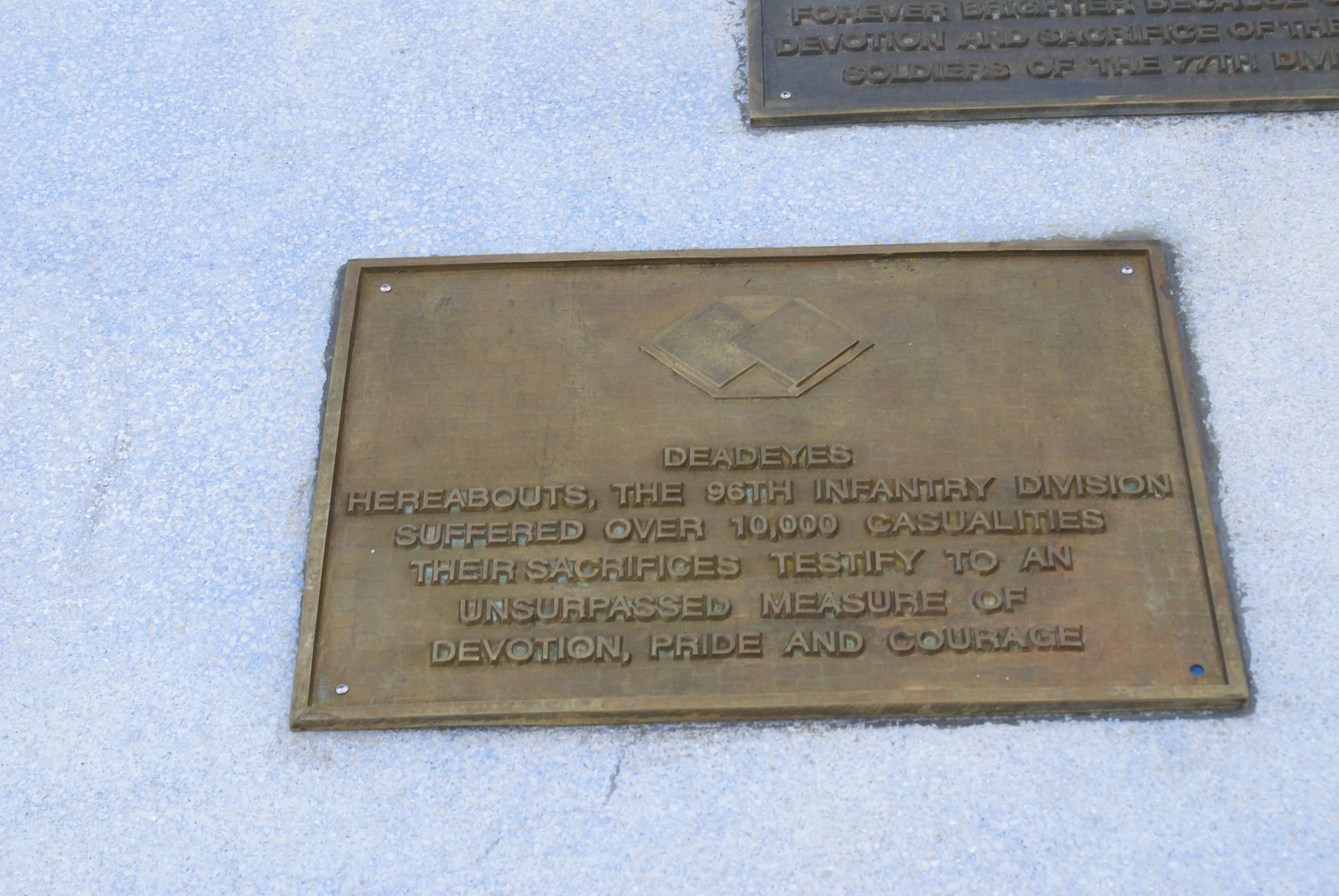 DSC00337.JPG