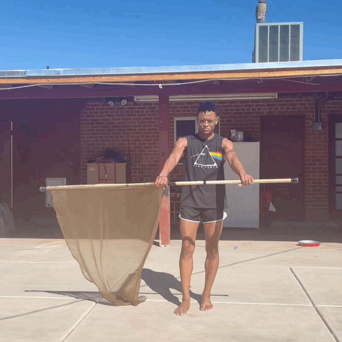 Teaser Colorguard2.gif