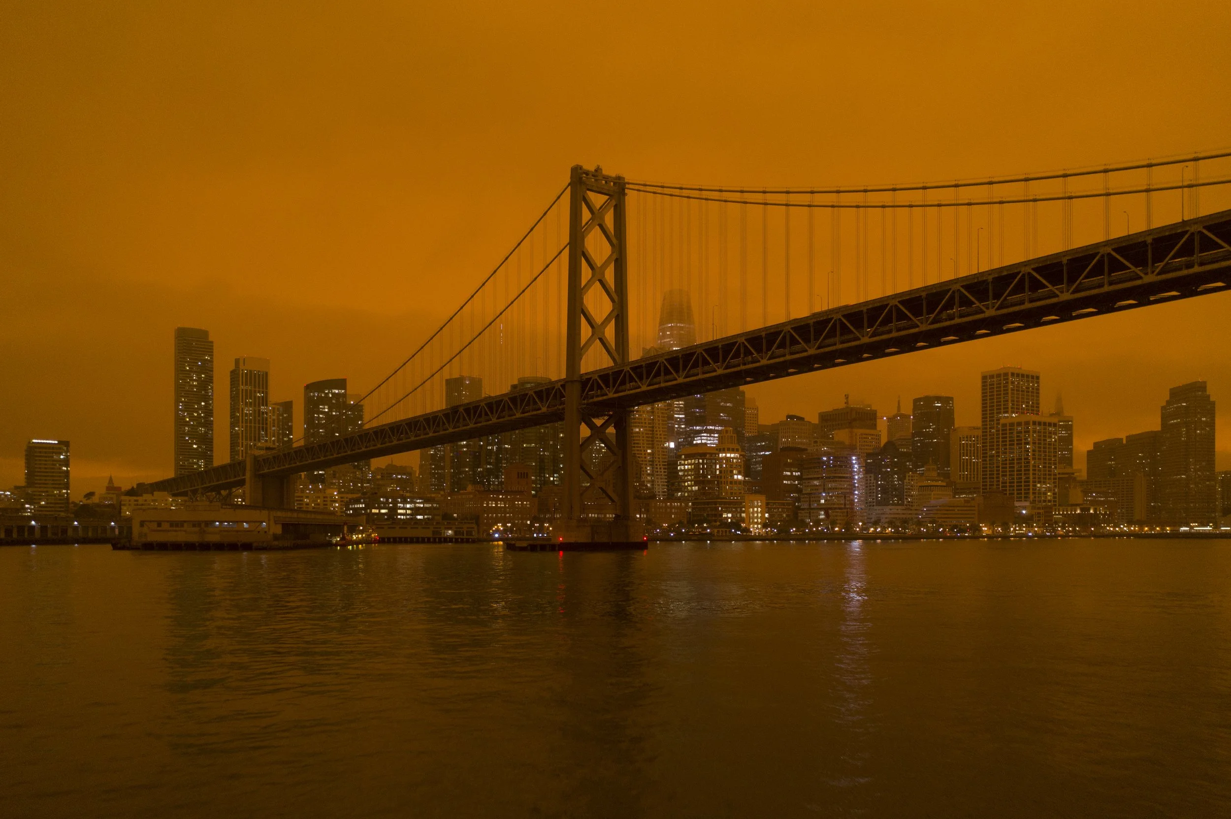 Community Leaders Lead Wildfire Mitigation Efforts in the Bay Area’s Underserved Areas