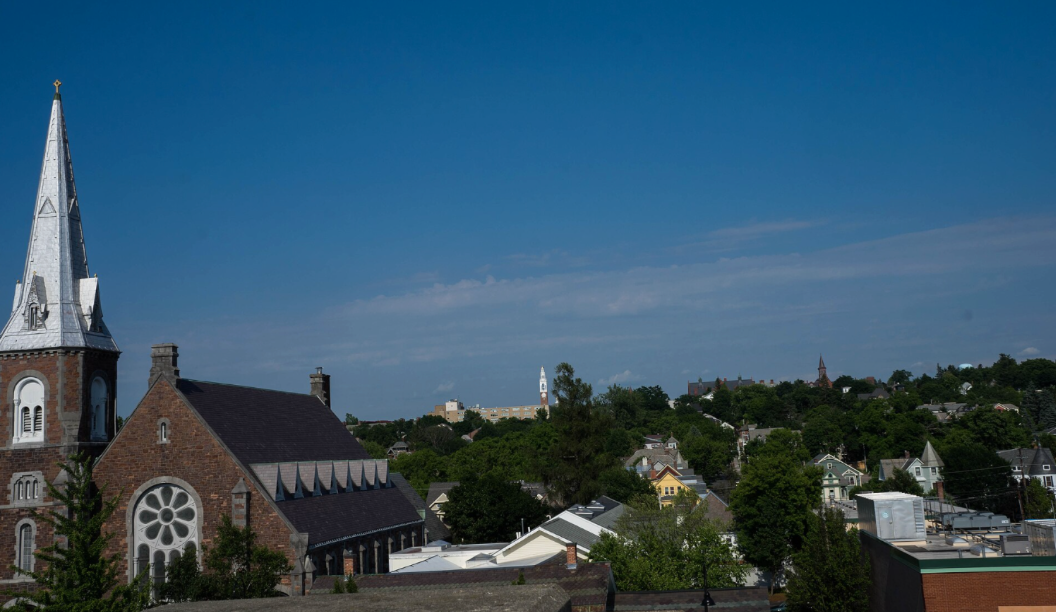 More Than Shade: How Burlington is using trees to build a more resilient city&nbsp;