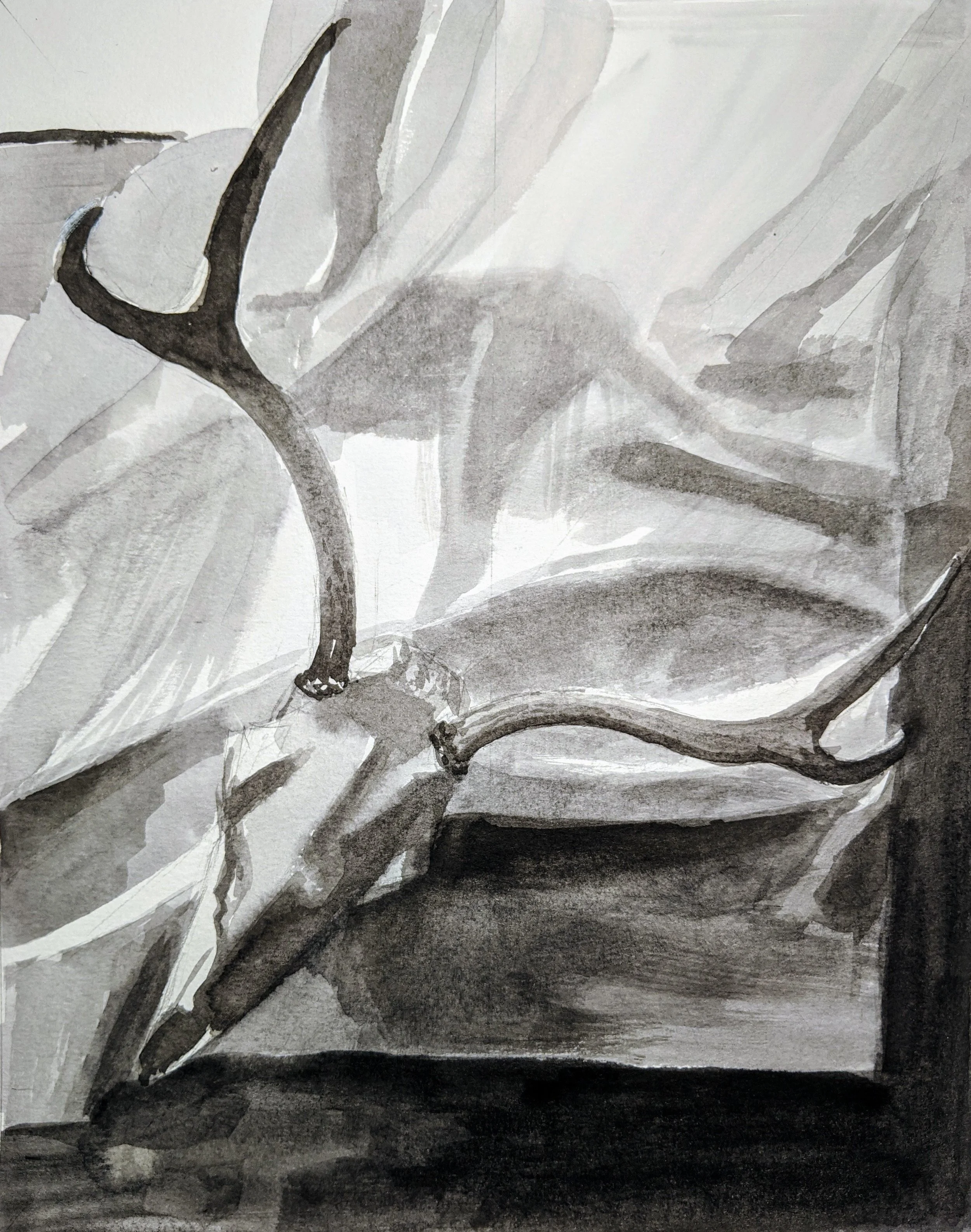 Yingzhao Liu_Still life I.jpg