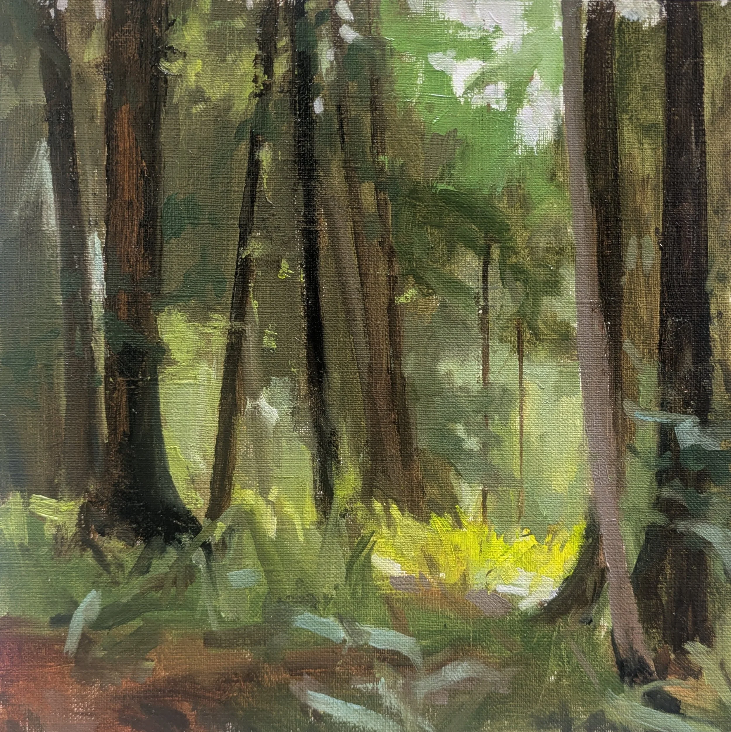 Forest Interior  l  8x8  l  Oil  l  $160