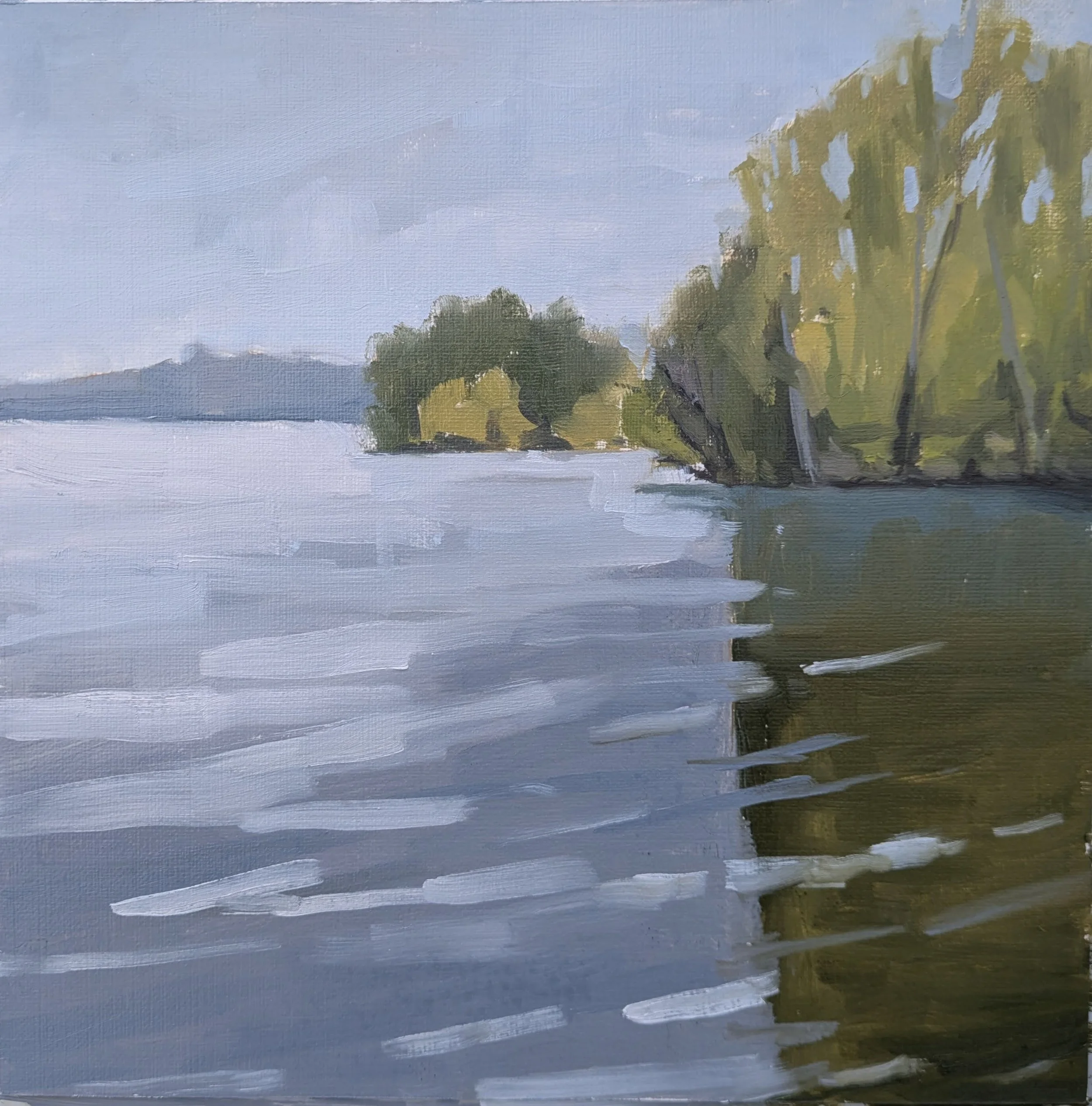 Many Shores  l  8x8  l  Oil  l  Framed  l  $200