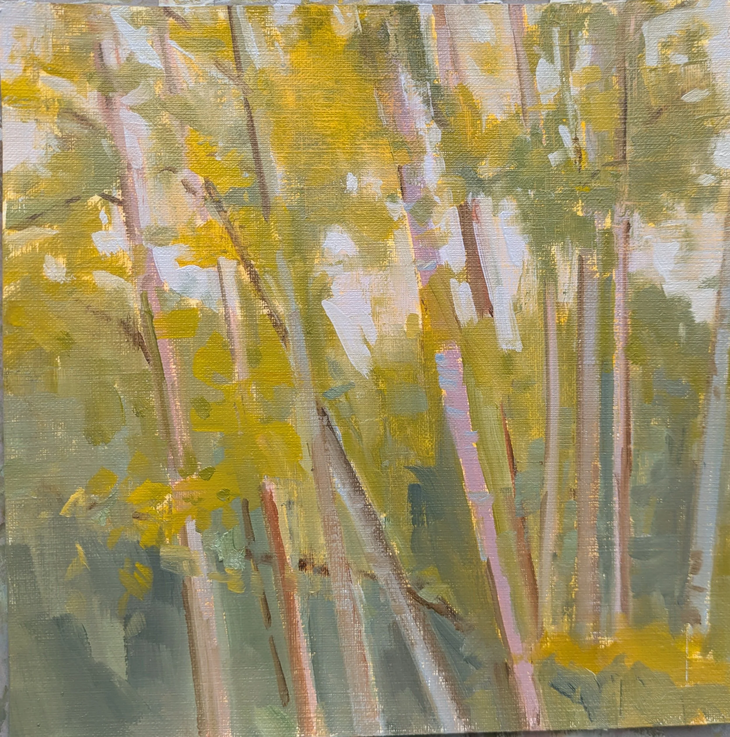 Yingzhao Liu_Mercer Island_2025.jpg