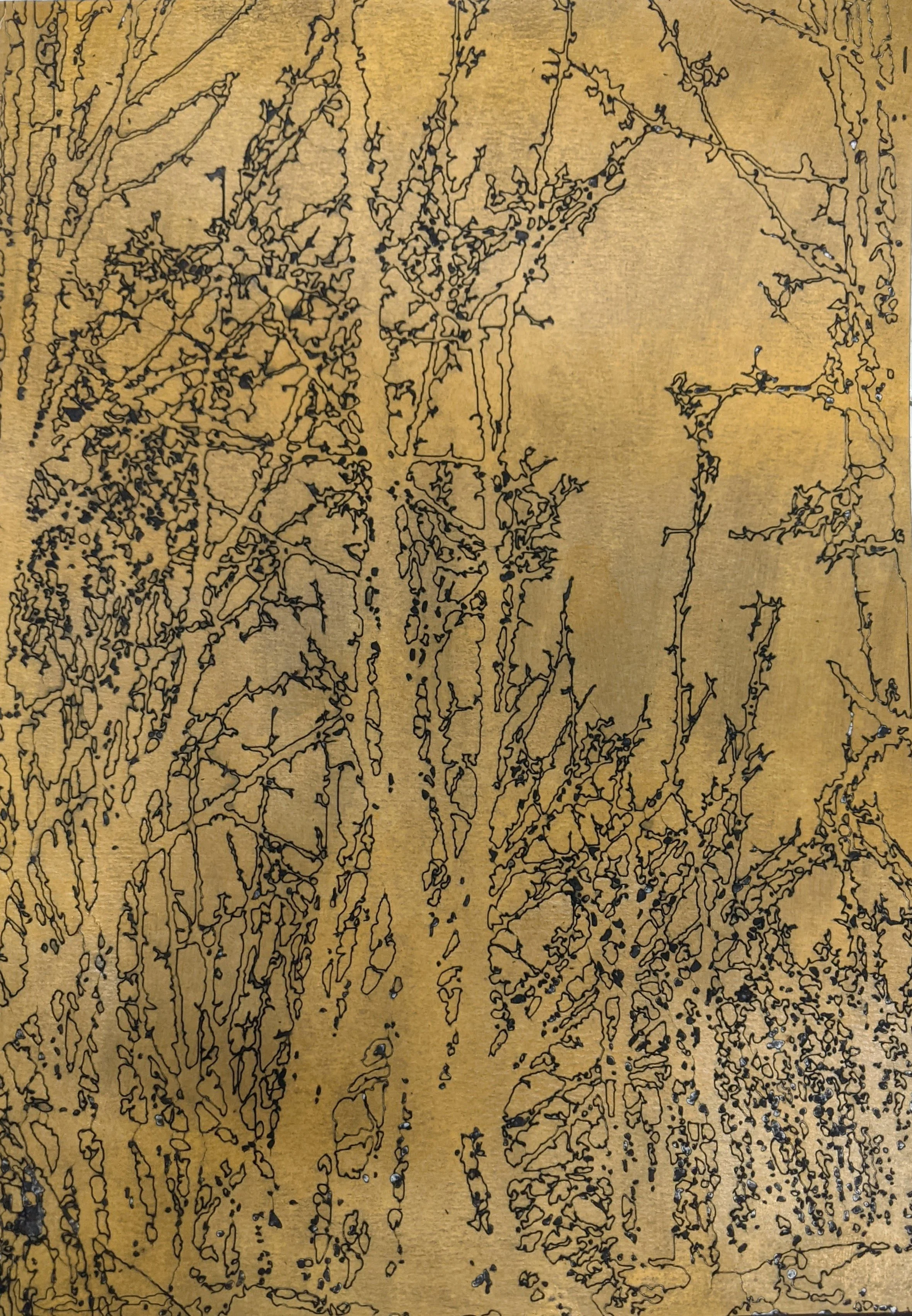 PXL_20230115_195422391.jpg