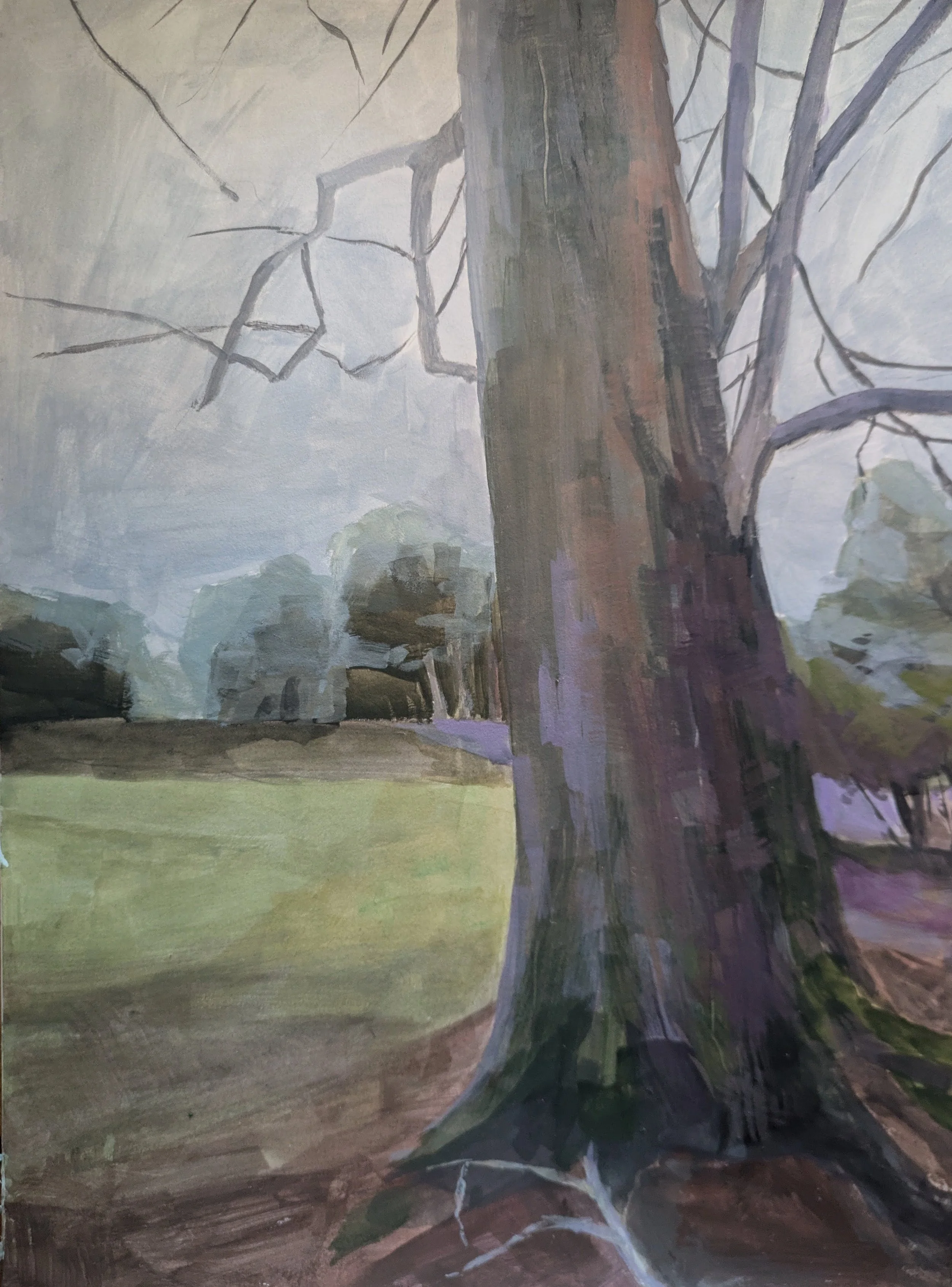 Yingzhao Liu_Winter's Fading Hold.jpg