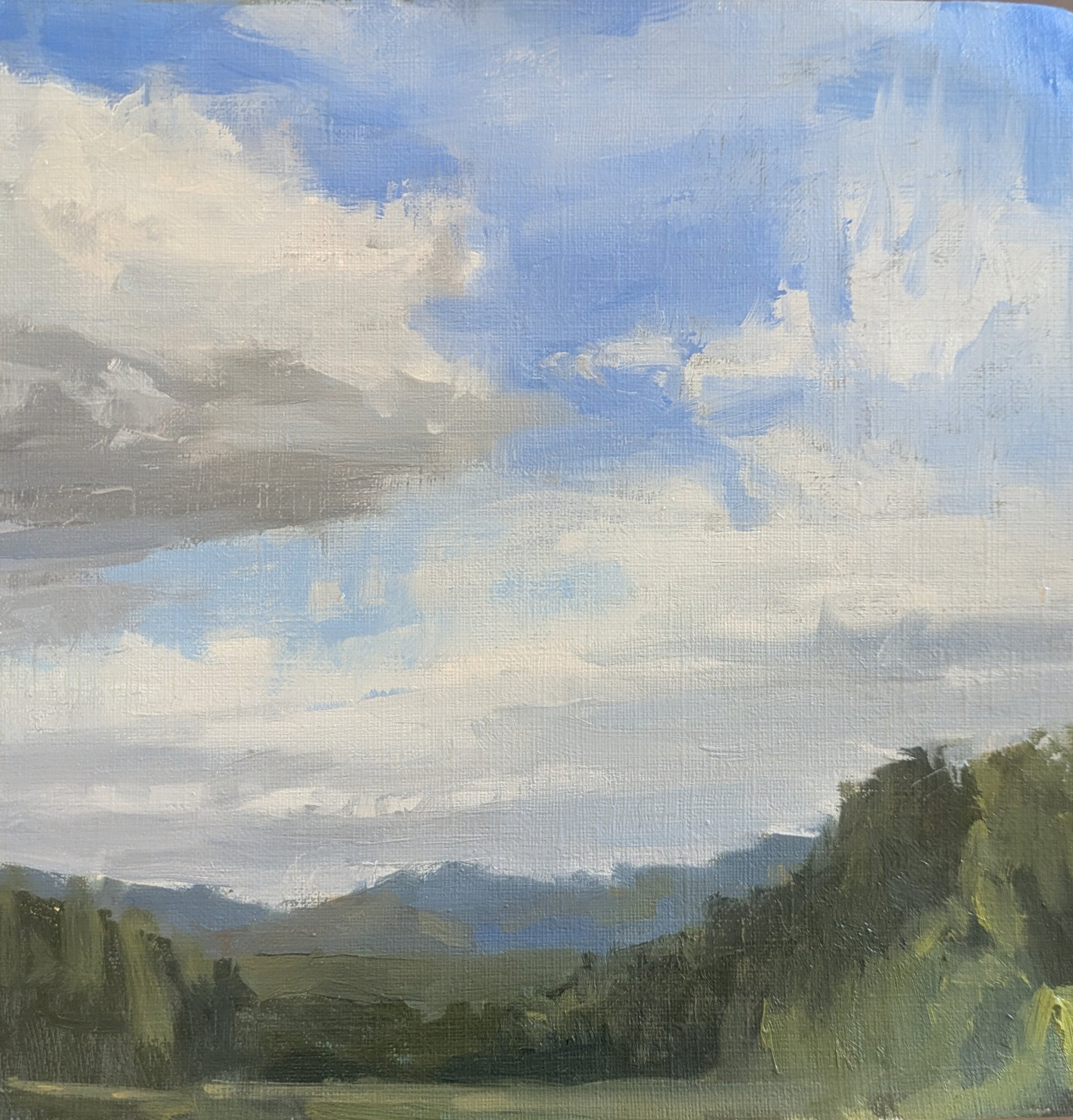 Our Skies  l  8x8  l  Oil  l  $160