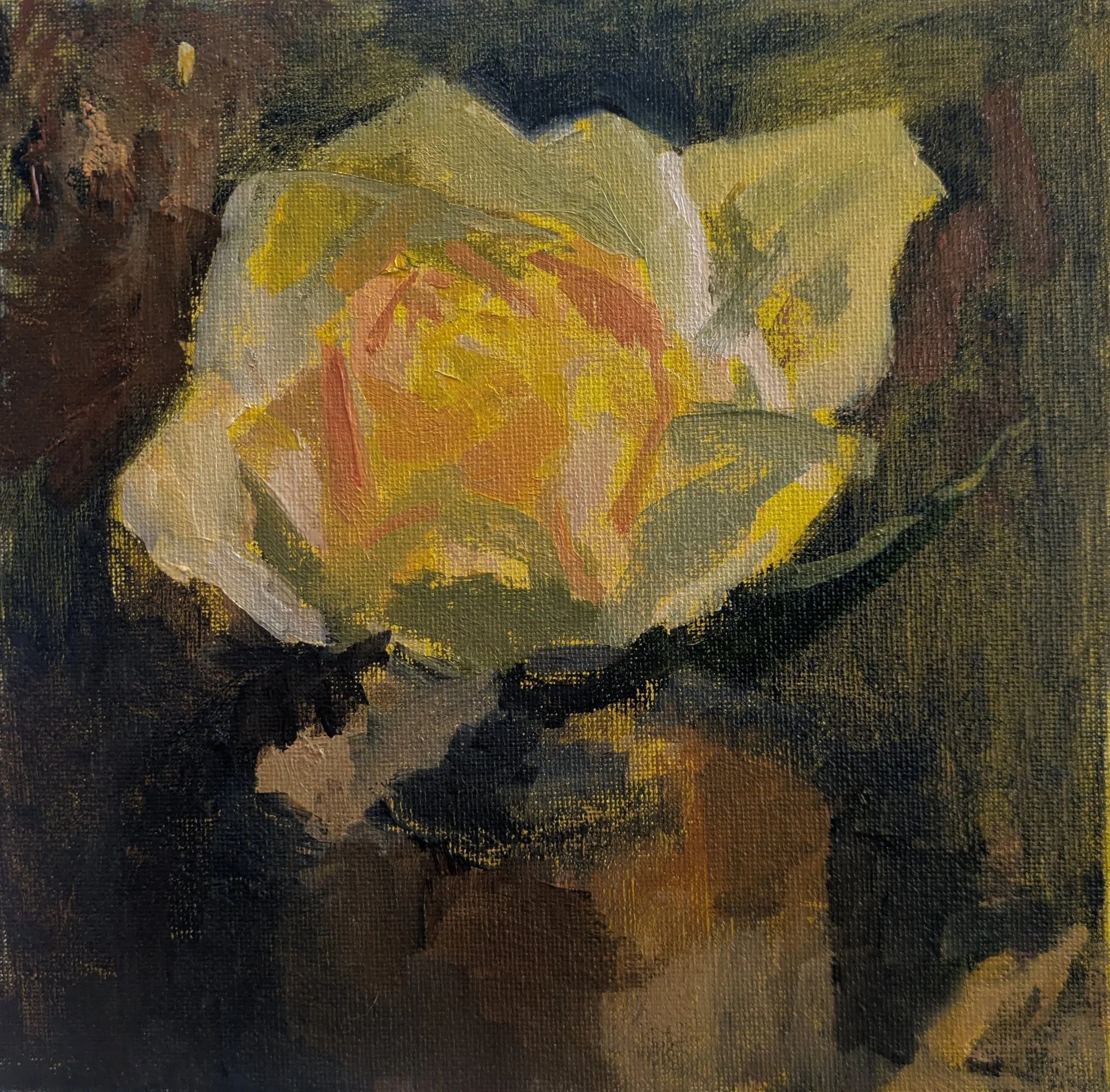Yellow Rose Two  l  8x8  l  Oil on canvas  l  $120