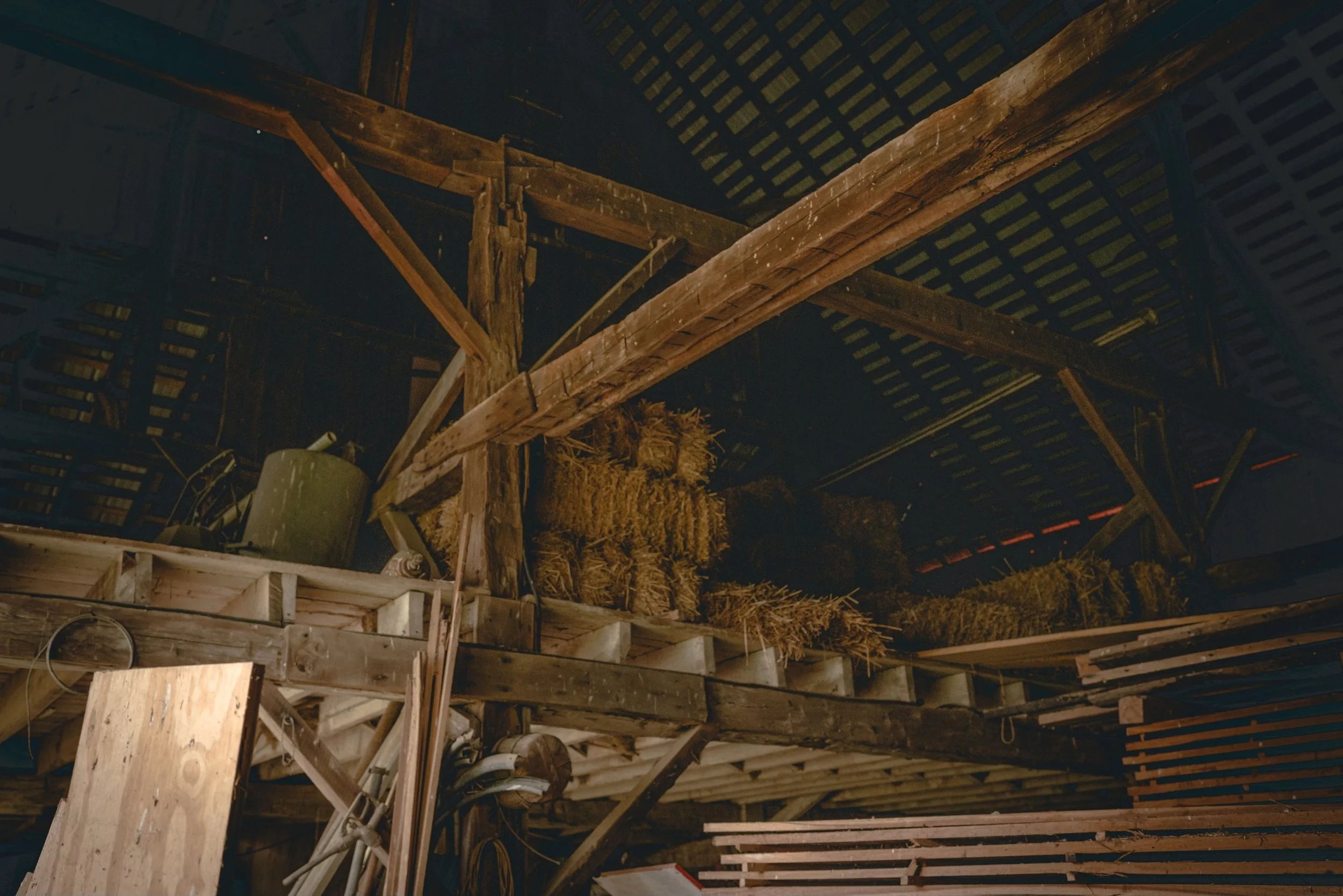 Papaw & Grandma's-03.jpeg