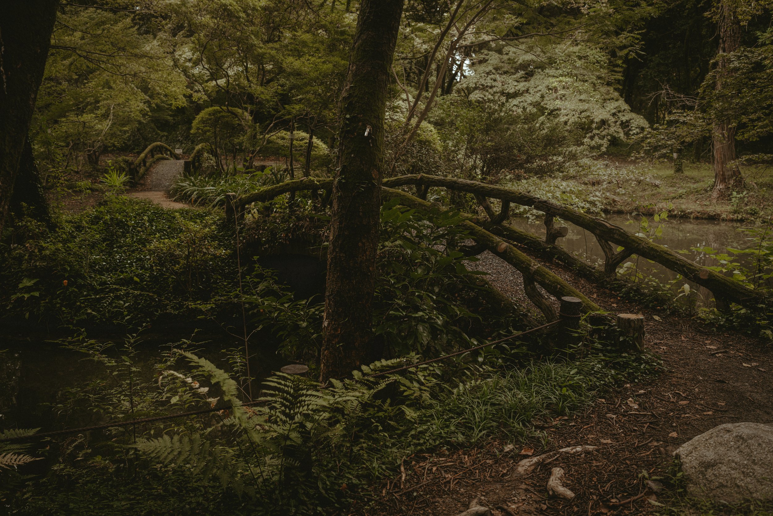 Kurama Fire Festival-9.jpg