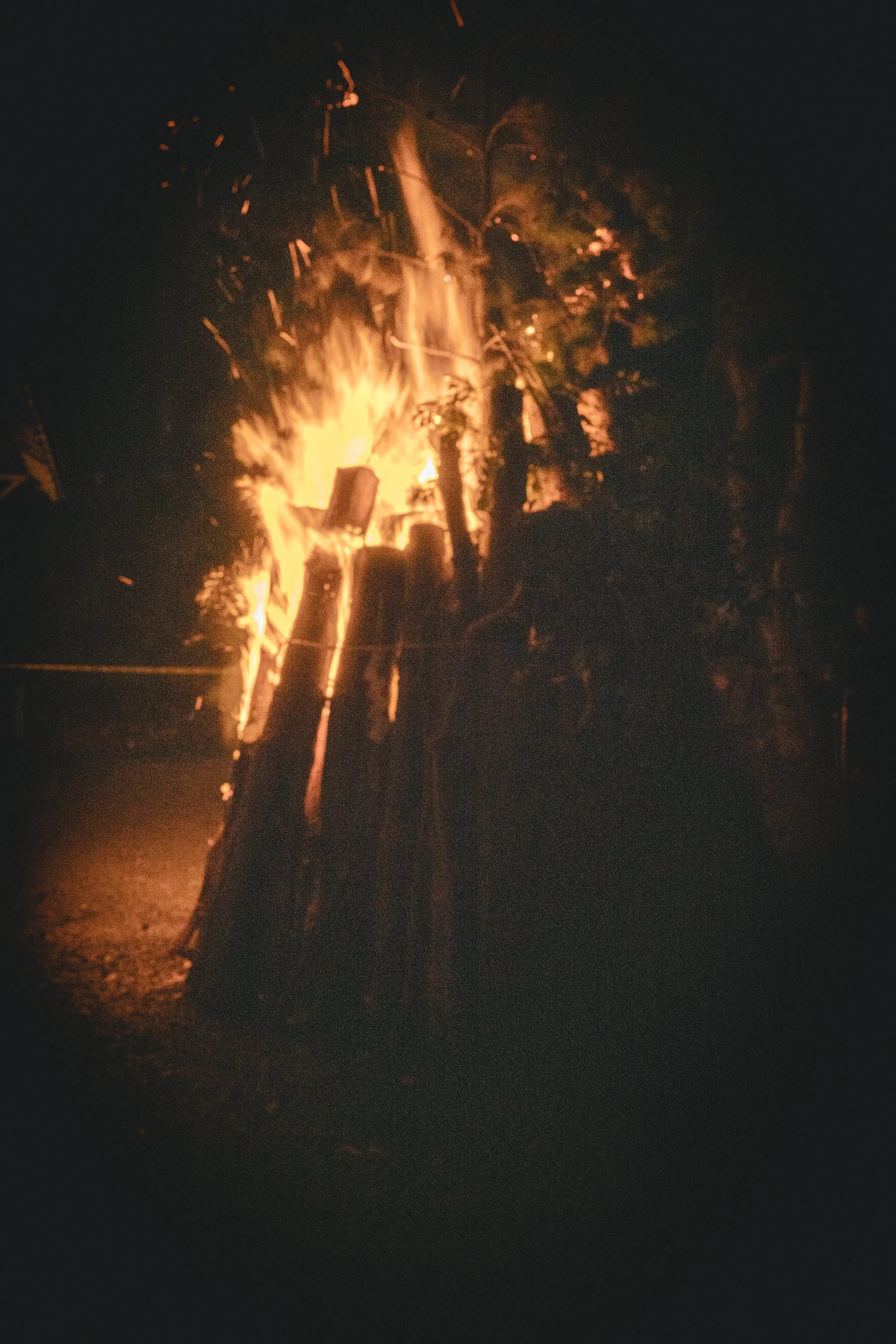 Kurama Fire Festival-2.jpg