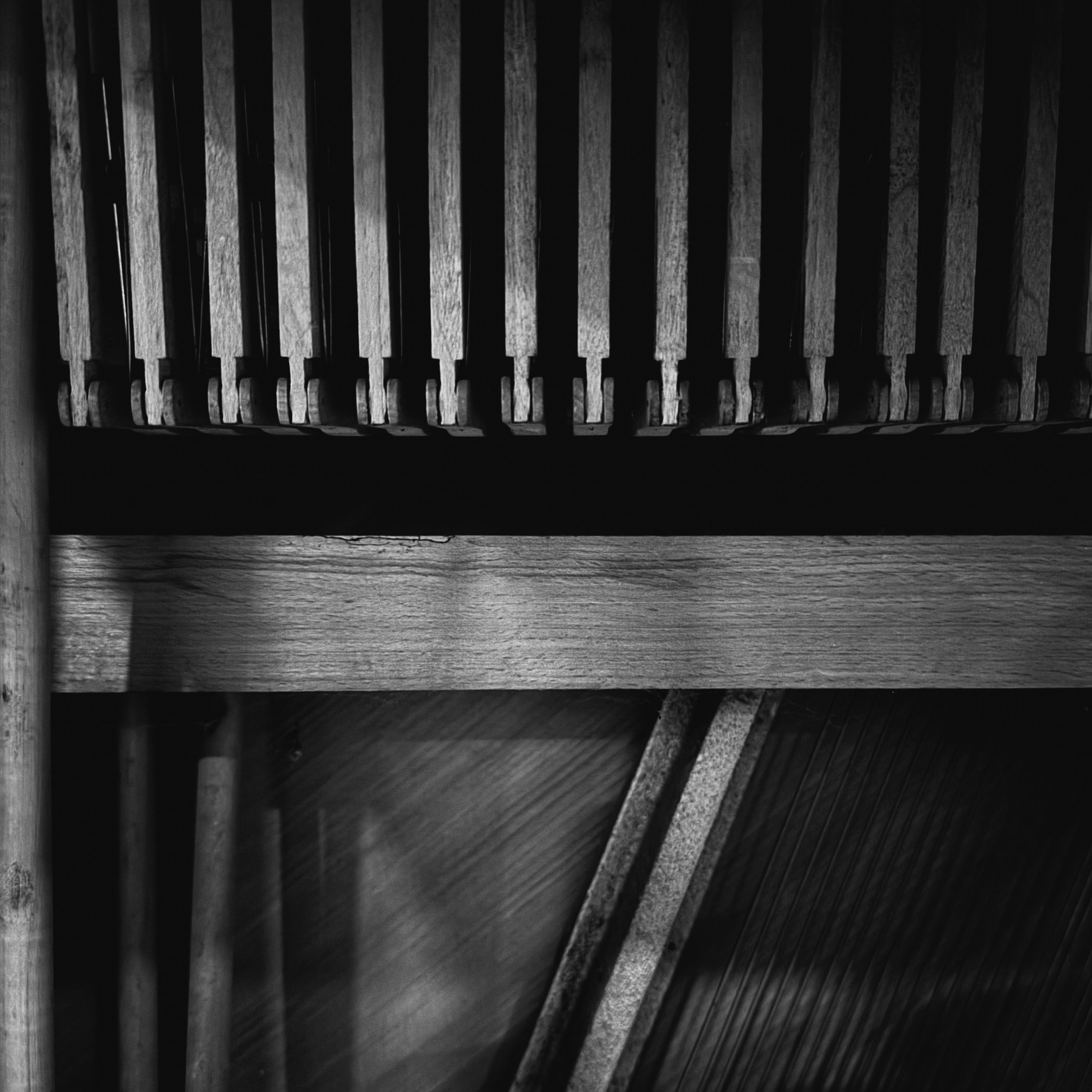 Solus Vir & open things - Evening Voices (Artwork).jpeg