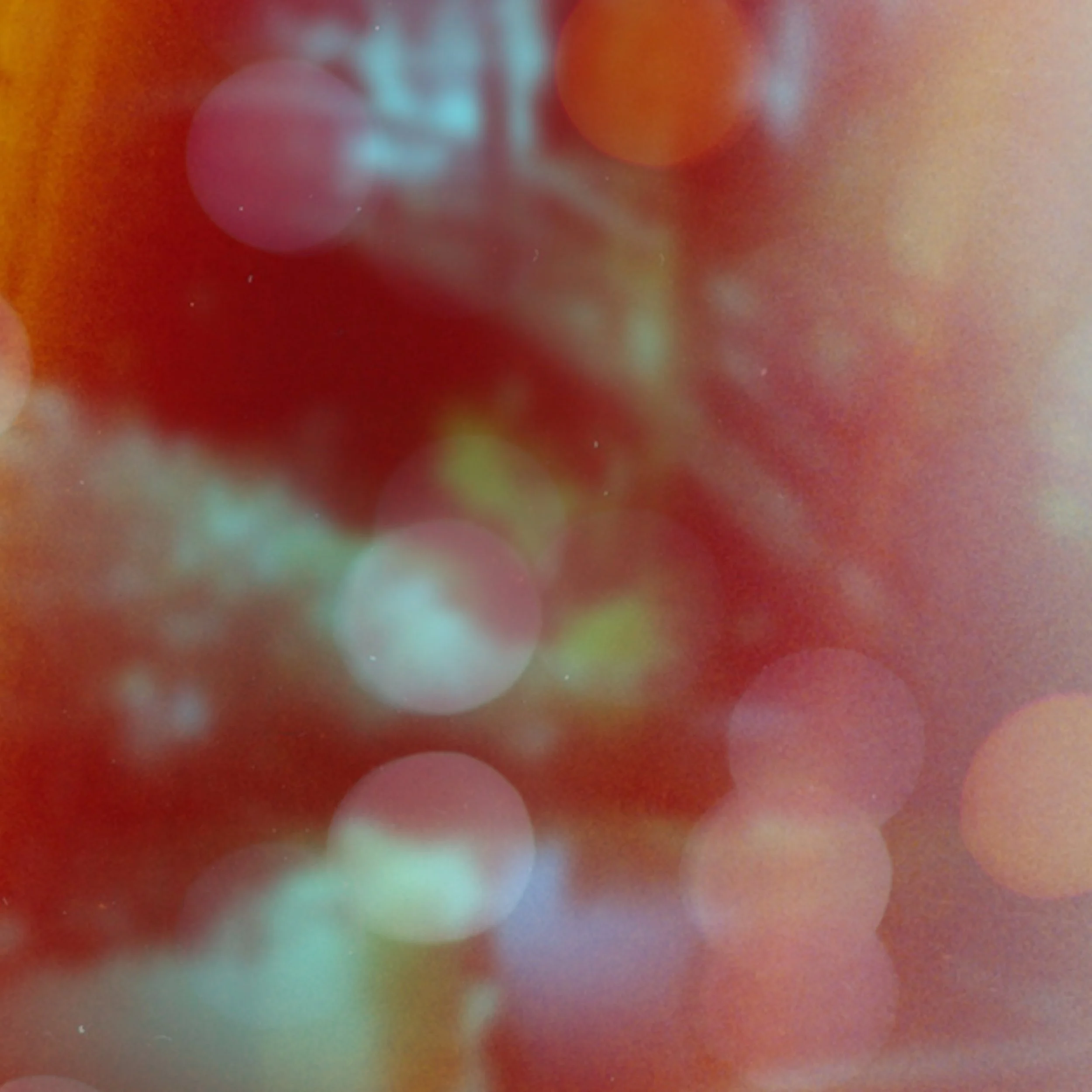 Kaleidocanvas - Imaginal (Cover Art).jpeg