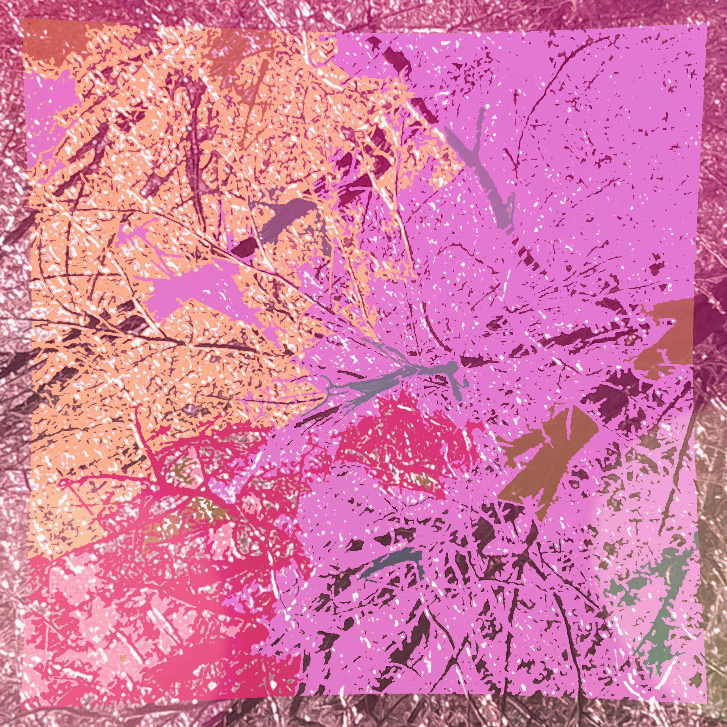 Kaleidocanvas - Modalities (Cover Art).JPEG