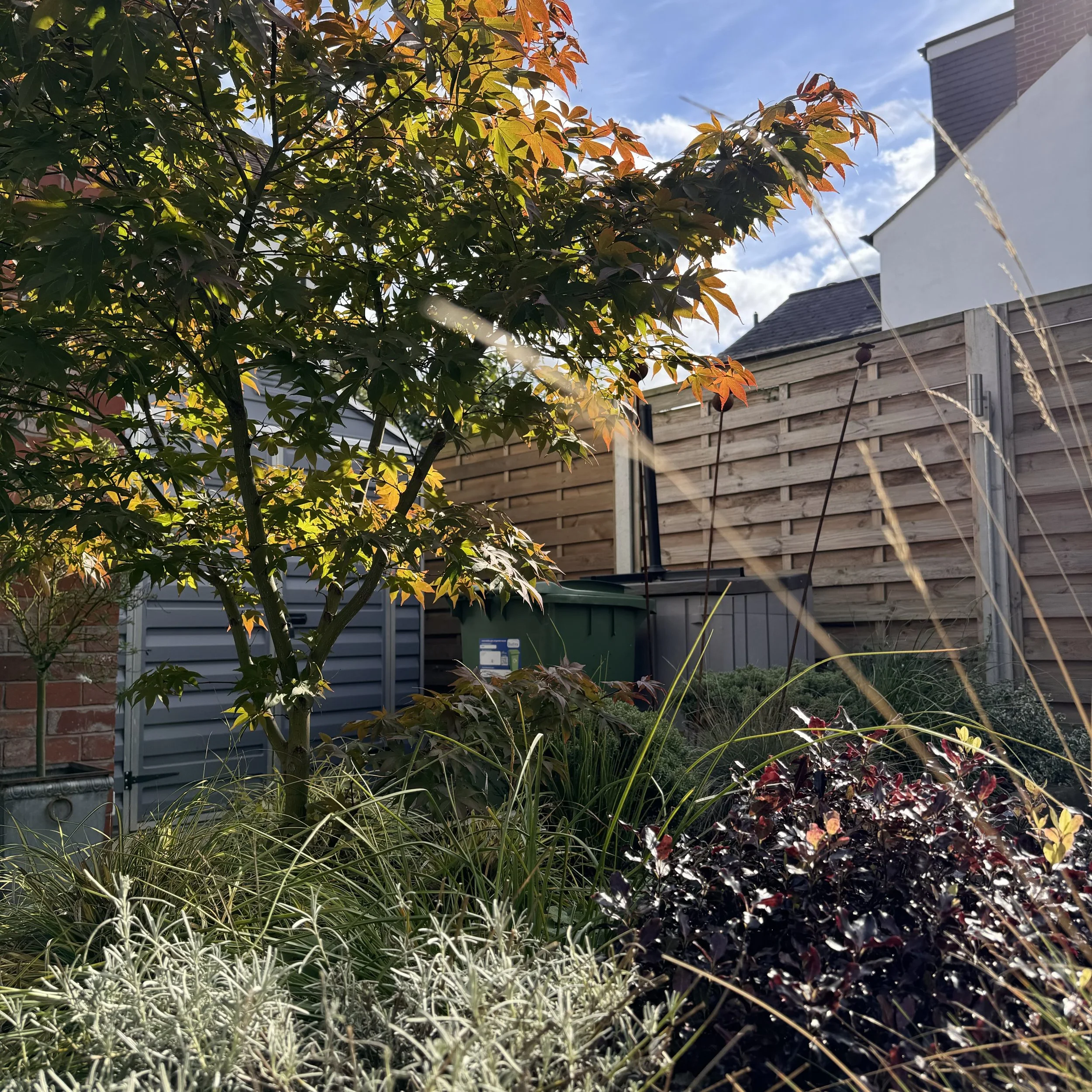 Embracing Autumn: The Ultimate Season for Gardening, Design and Planning