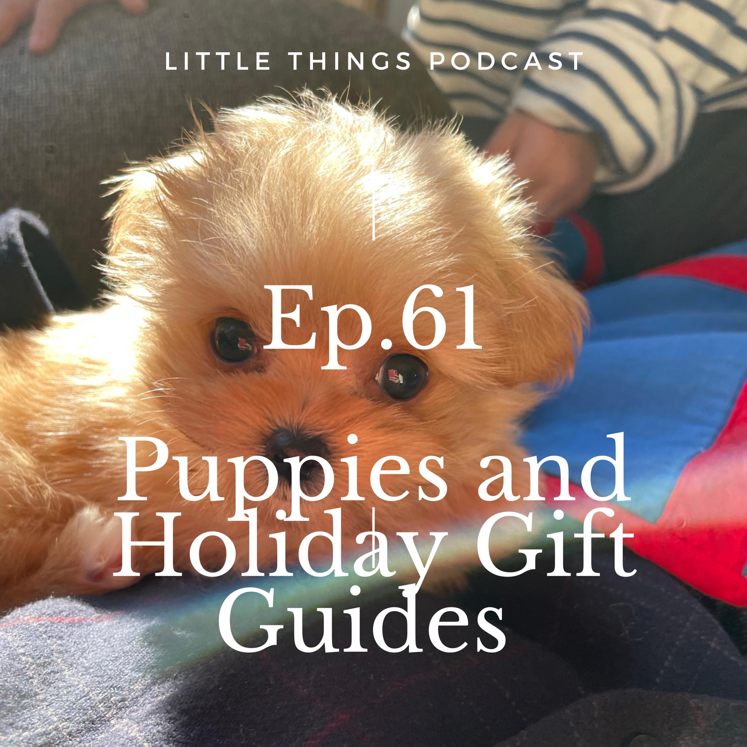 Episode 61: Puppies and Holiday Gift Guides
