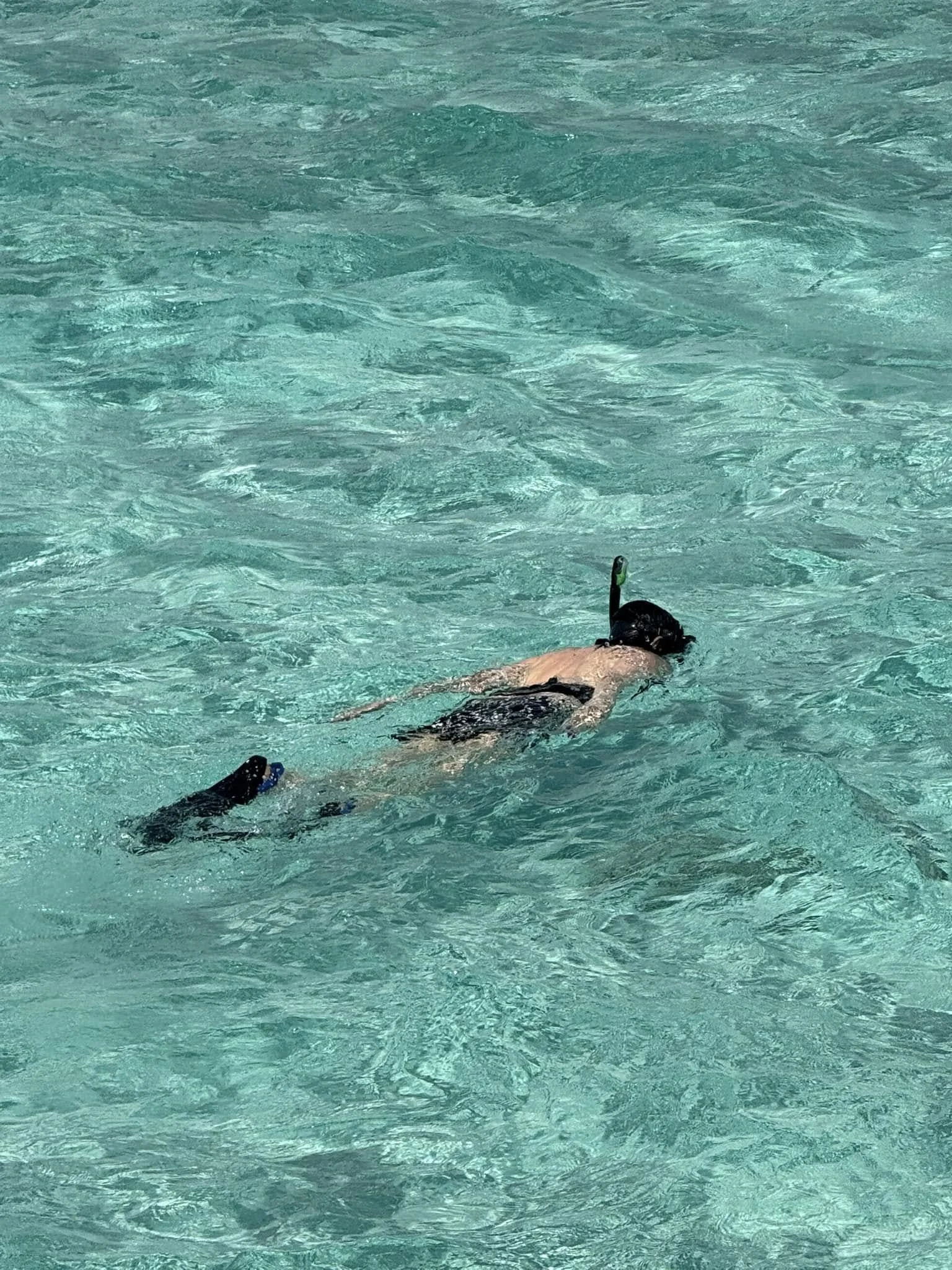 Photo29.jpg
